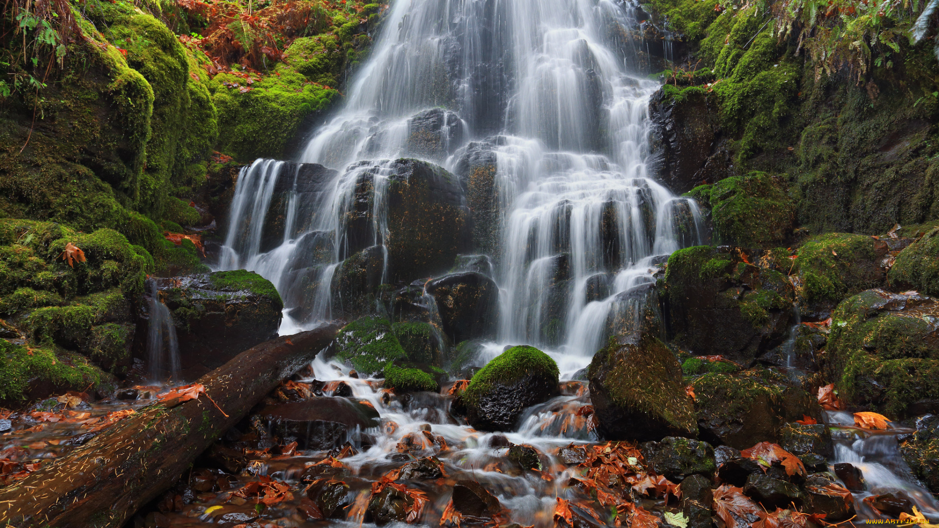 fairy, falls, columbia, river, gorge, oregon, природа, водопады, камни, каскад, орегон, осень, листья, мох, река, колумбия, wahkeena