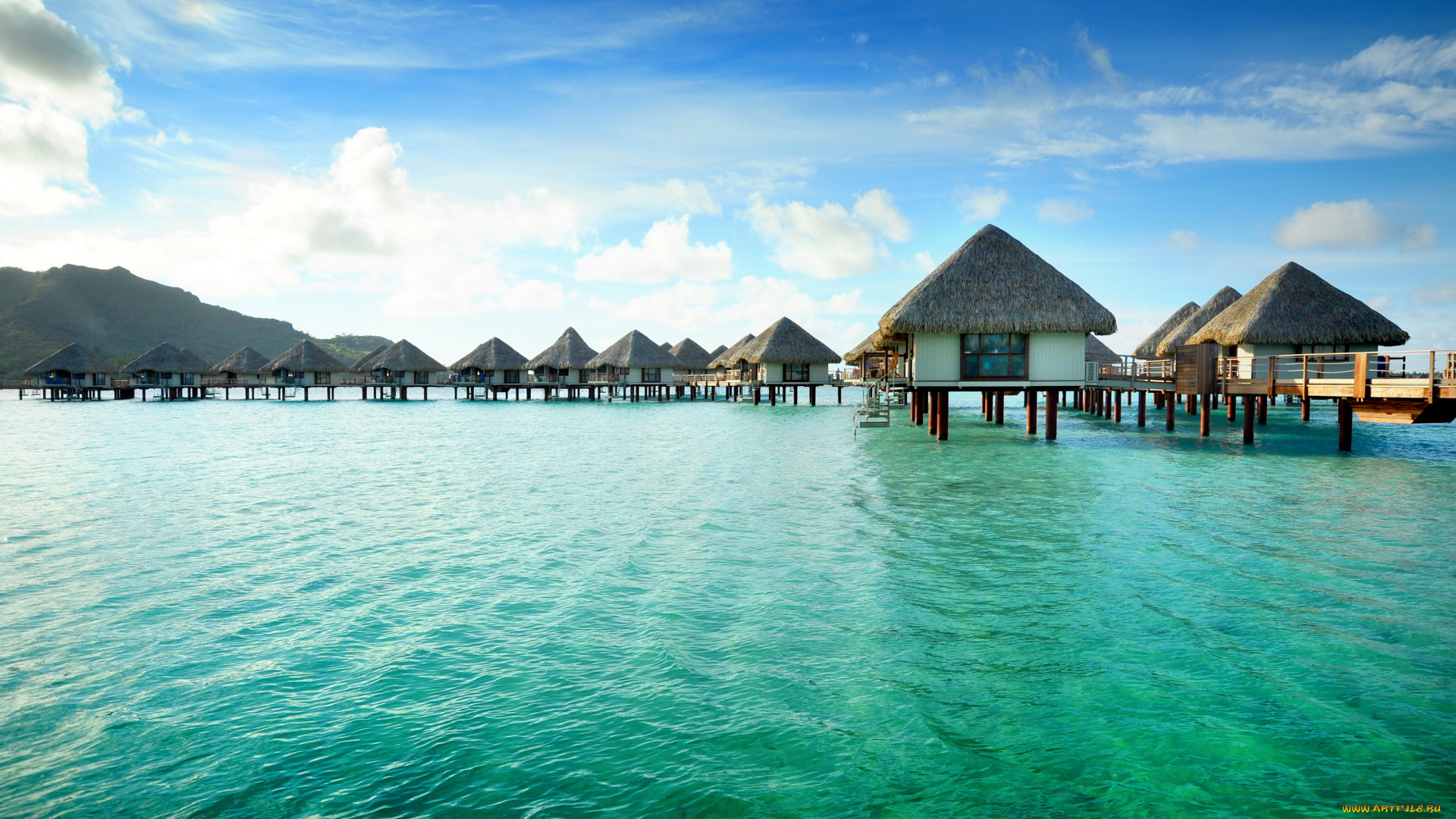 french, polynesia, природа, тропики, море, бунгало