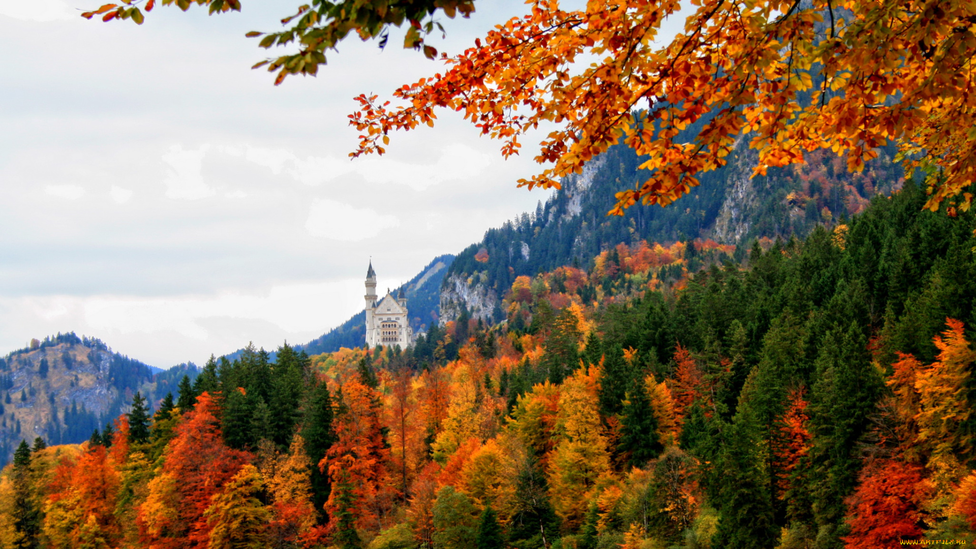 германия, бавария, швангау, природа, горы, осень, лес