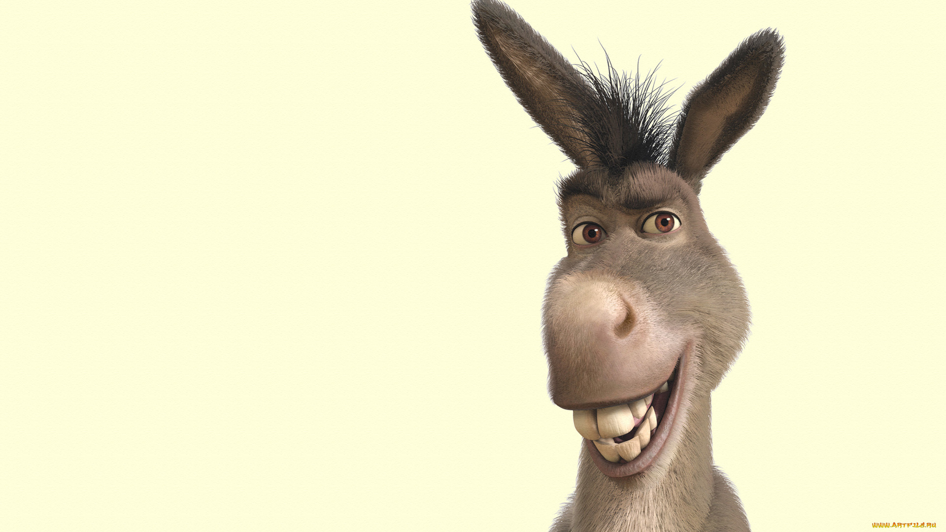 мультфильмы, shrek, зубы, уши, улыбка, осел