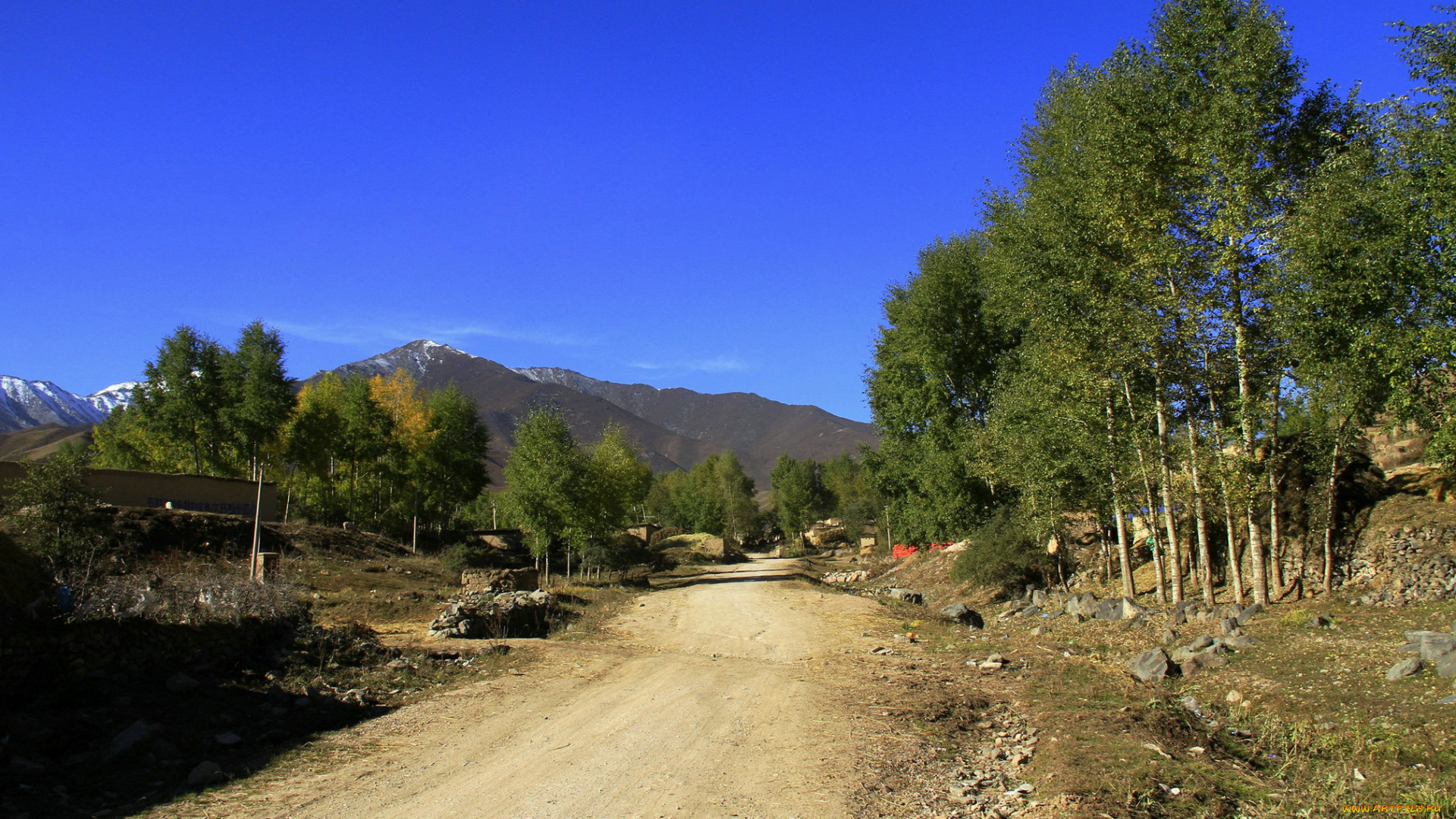 природа, дороги, деревья