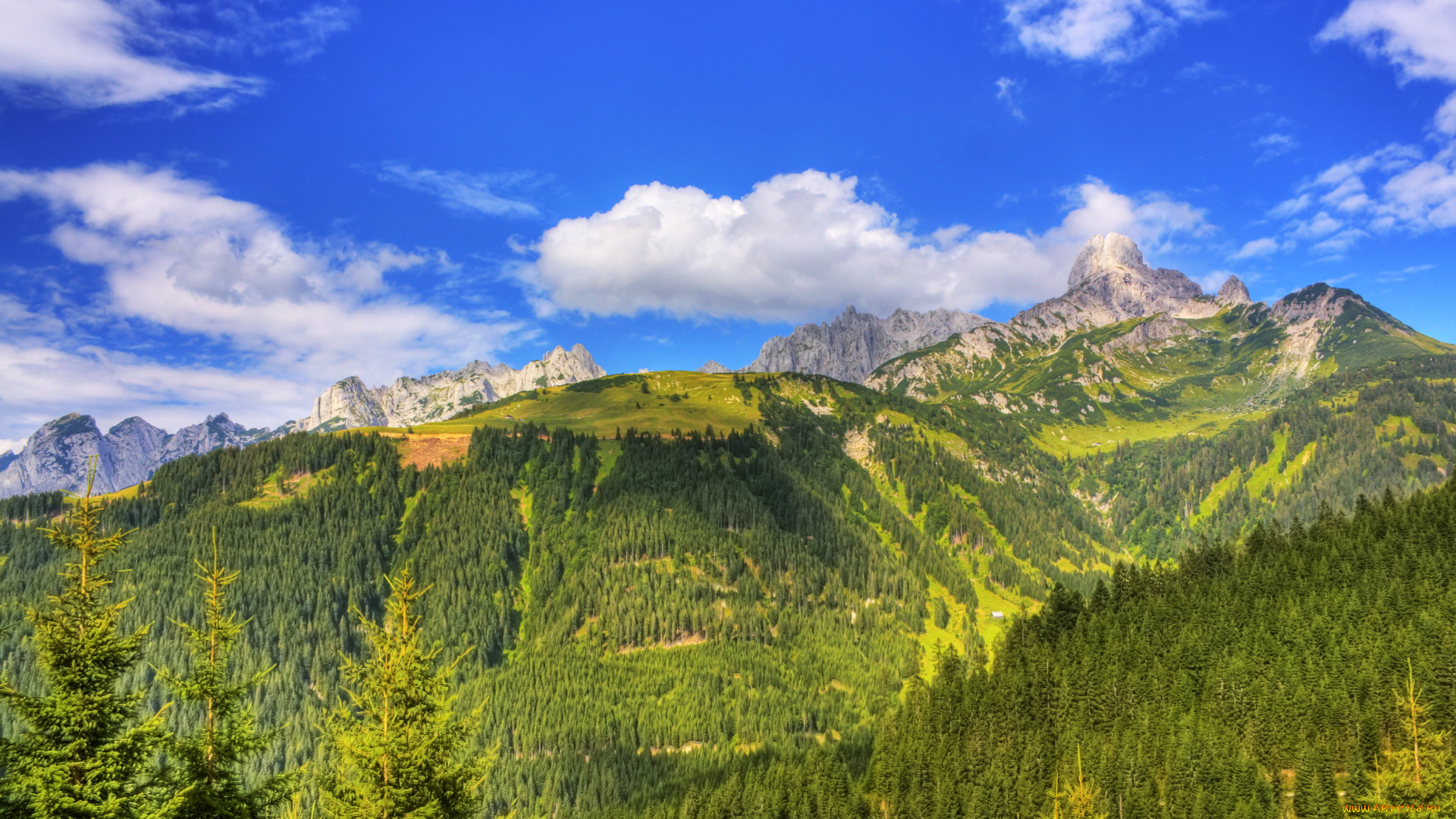 природа, горы, австрия, лес