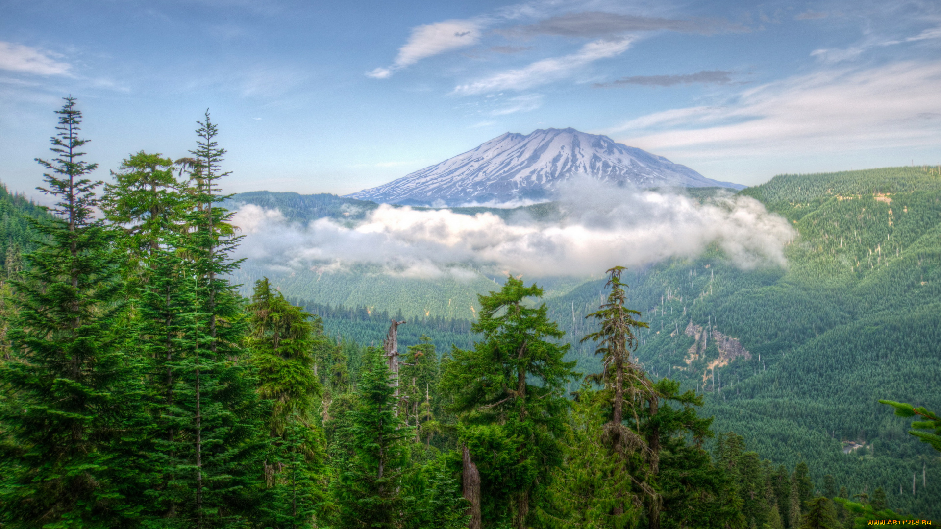 природа, горы, лес, вашингтон