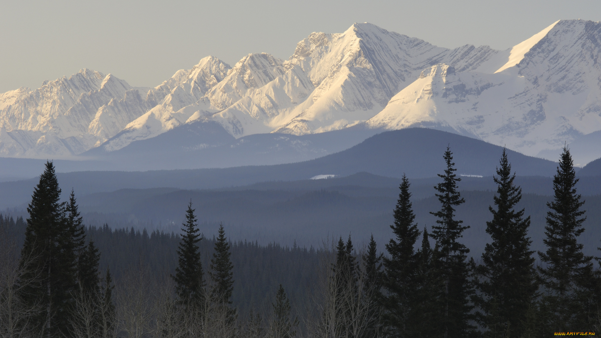 природа, горы, снег, небо, деревья, дымка
