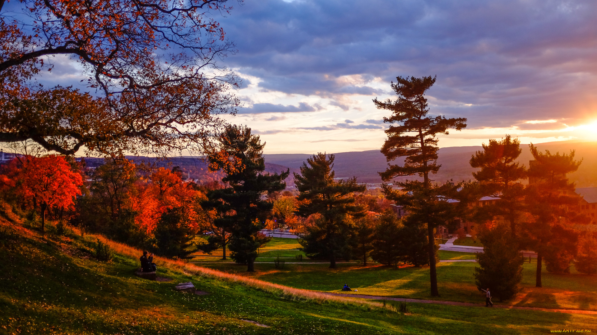 природа, парк, осень, трава, деревья, дорожки, свет, сияние
