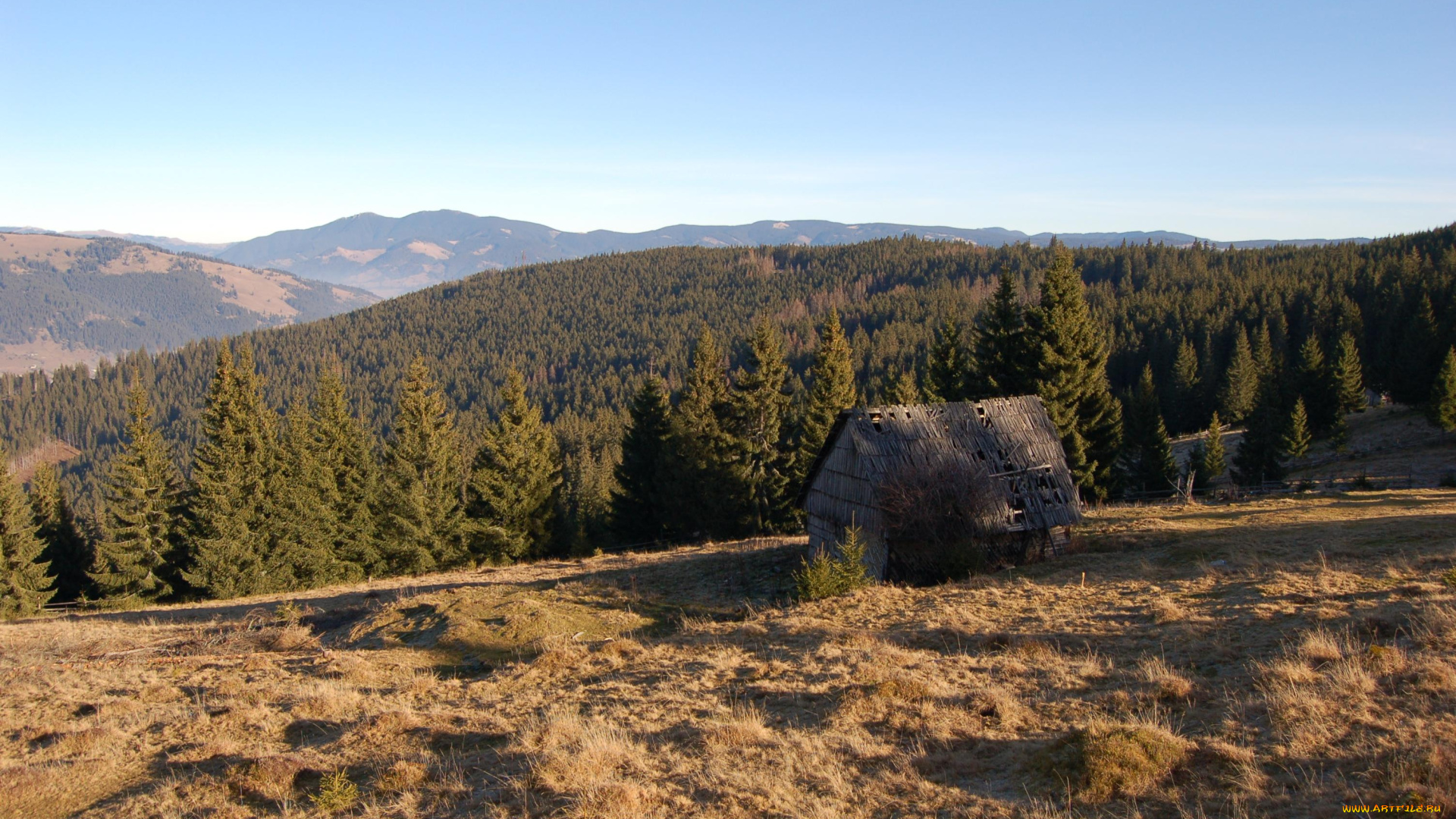 природа, пейзажи, избушка, горы, трава, лес, небо