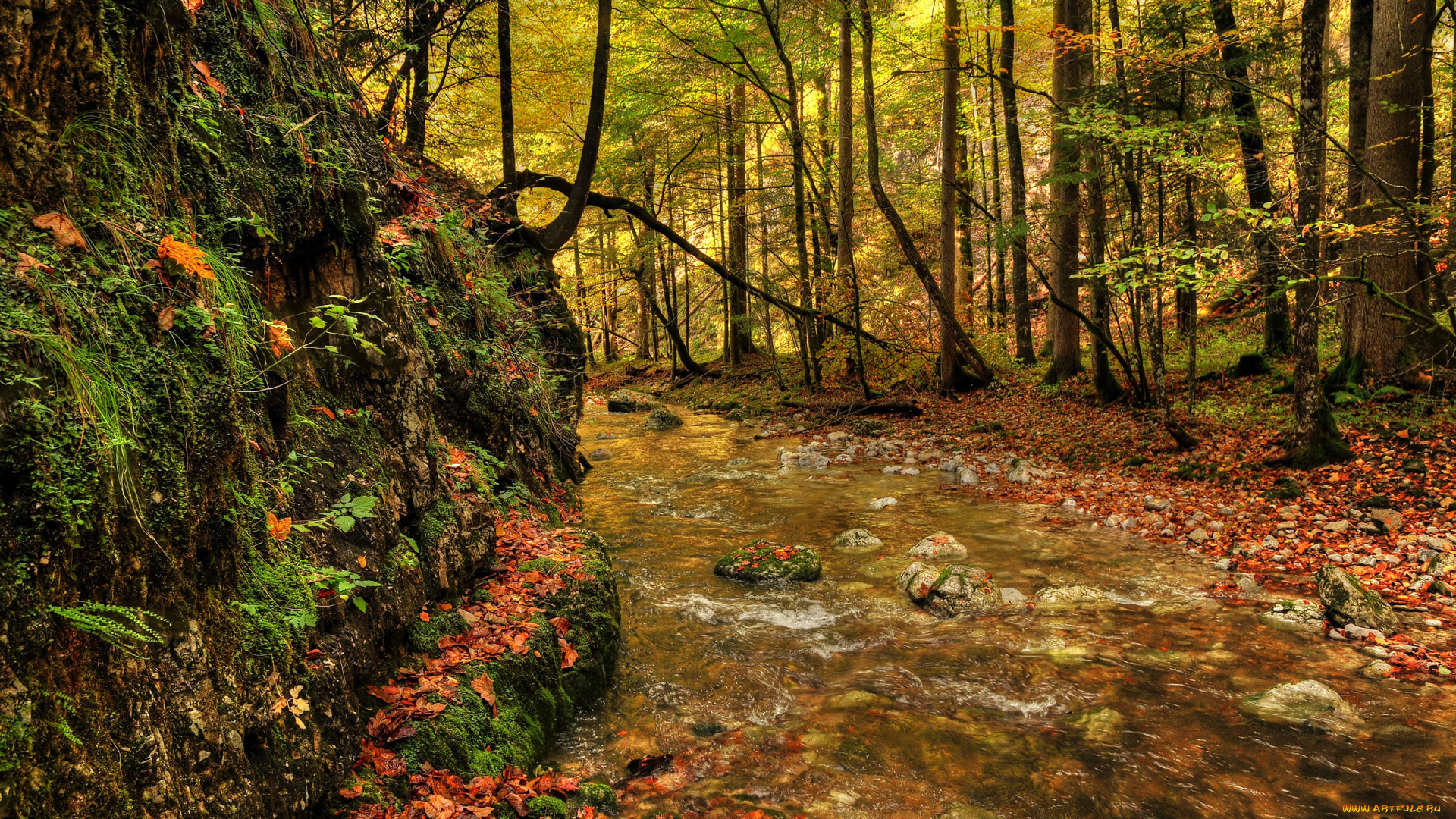 природа, реки, озера, камни, вода, деревья
