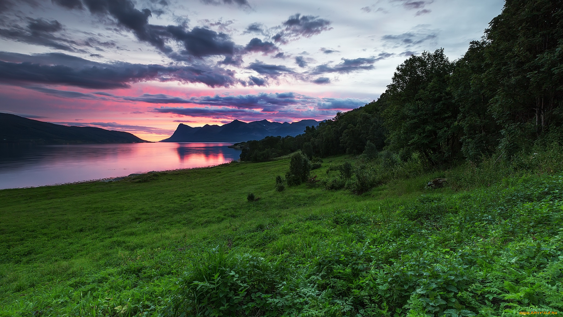 природа, реки, озера, лес, горы, река, трава