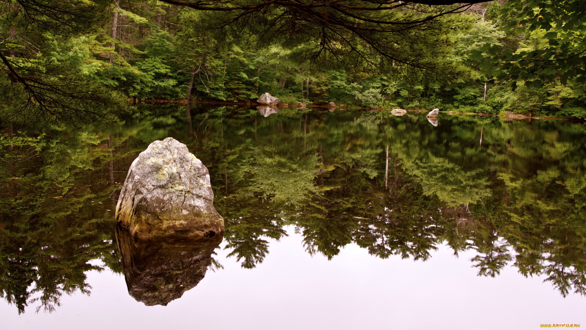 природа, реки, озера, лес, озеро