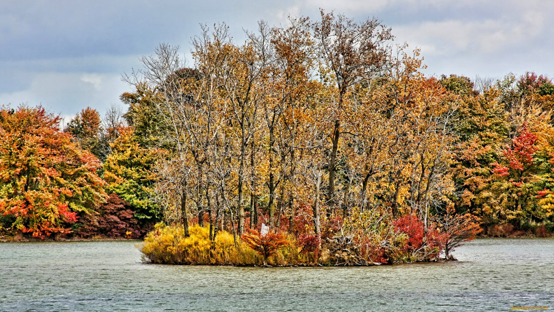 природа, реки, озера, осень, река, лес, островок, деревья, желтые, кроны