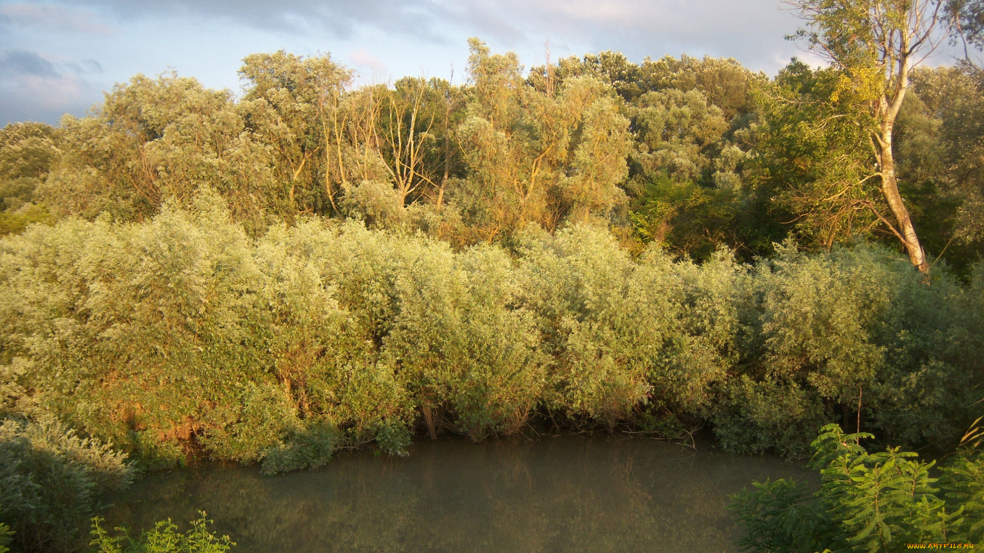 природа, реки, озера, пейзаж