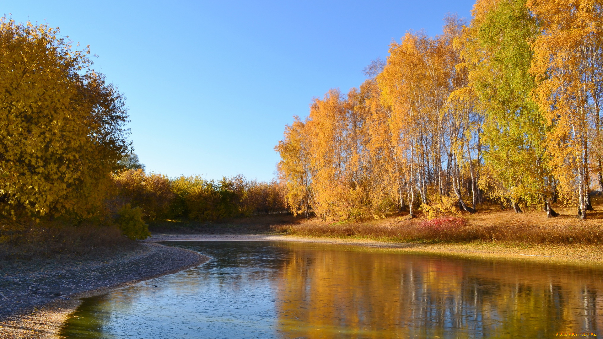 природа, реки, озера, река, лес, осень