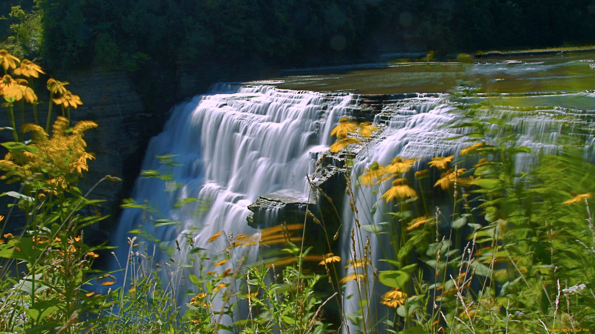 природа, водопады, река, лес, пороги, водопад, цветы, обрыв
