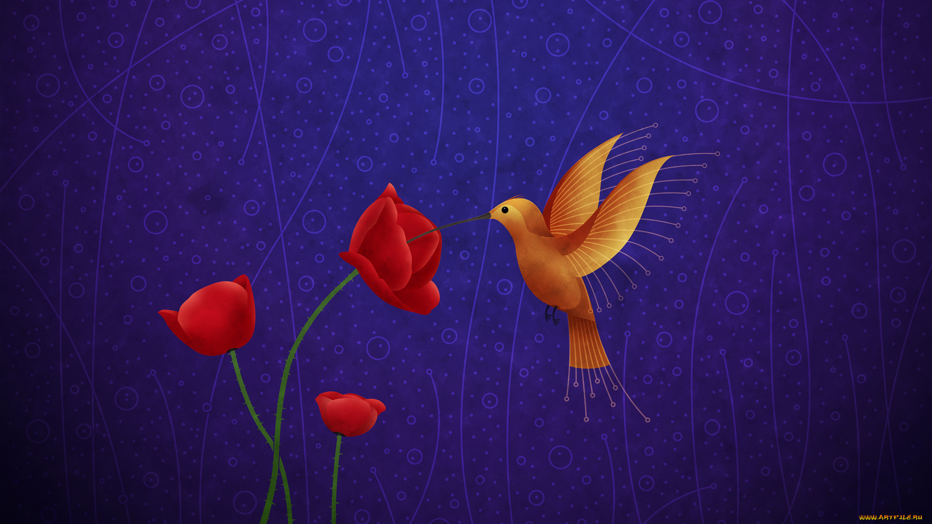 рисованные, vladstudio, красные, маки, колибри, птица