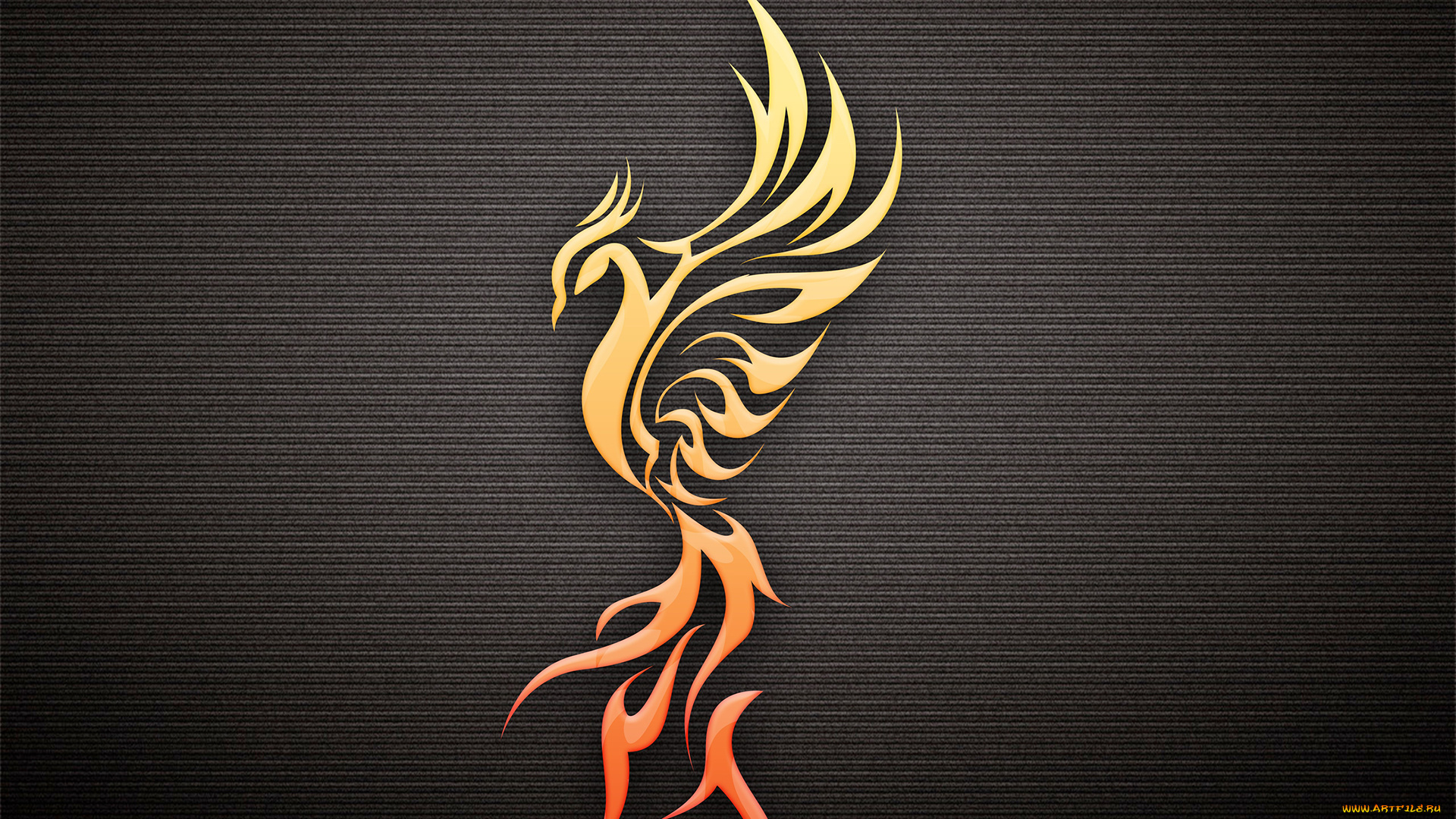 векторная, графика, фон, феникс, птица