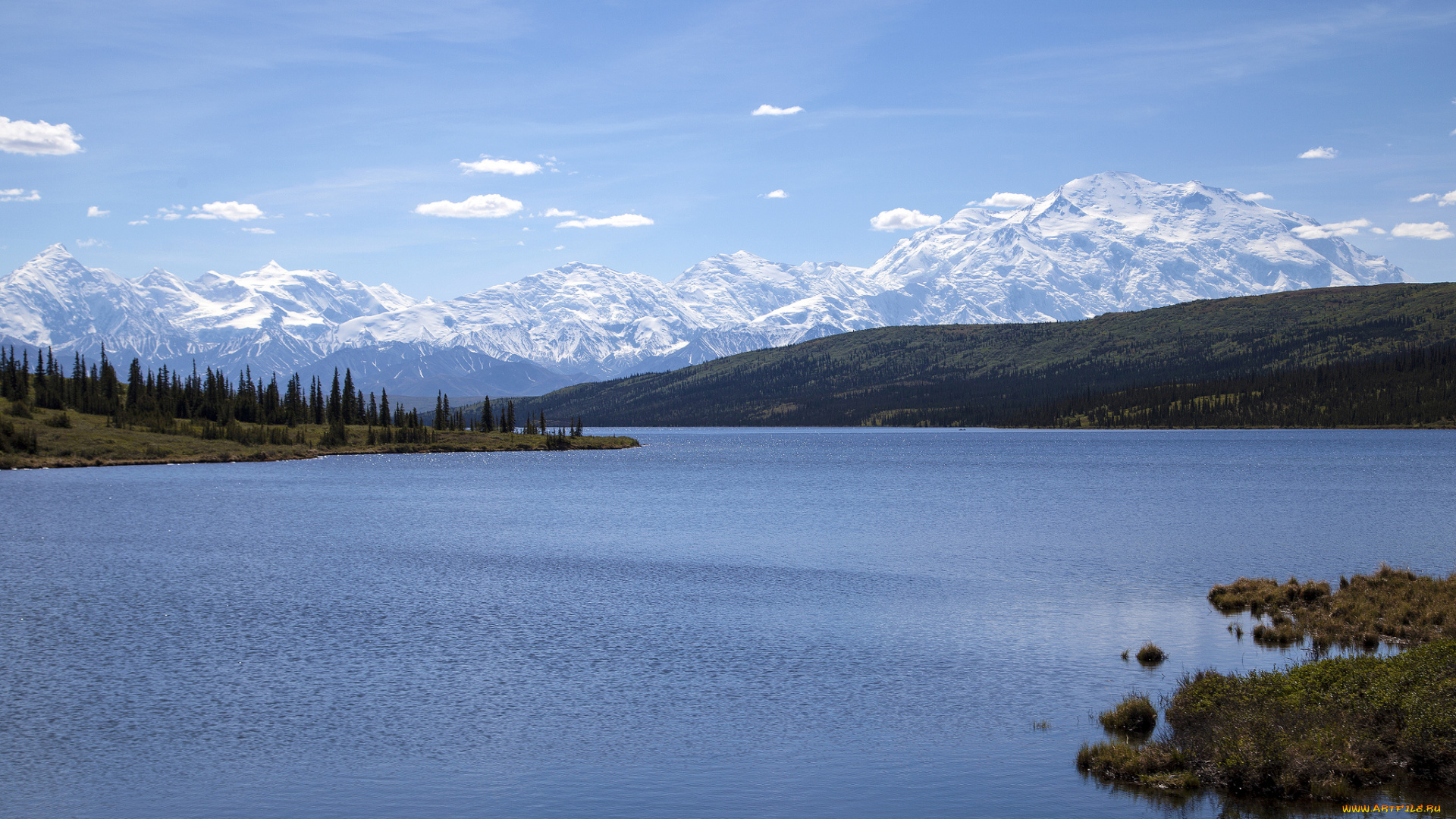 wonder, lake, denali, national, park, alaska, природа, реки, озера, range, национальный, парк, денали, аляска, аляскинский, хребет, озеро, вондер, горы, водная, гладь