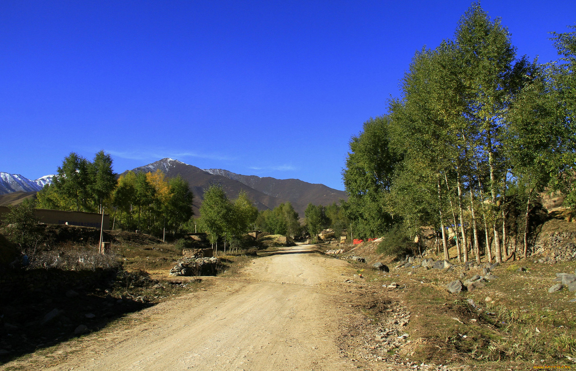 природа, дороги, деревья