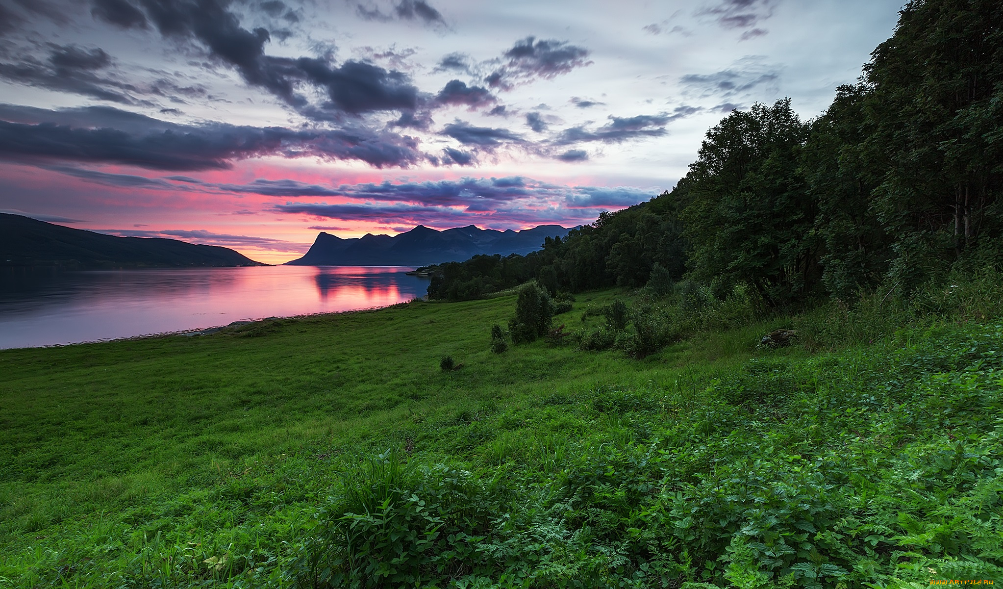 природа, реки, озера, лес, горы, река, трава