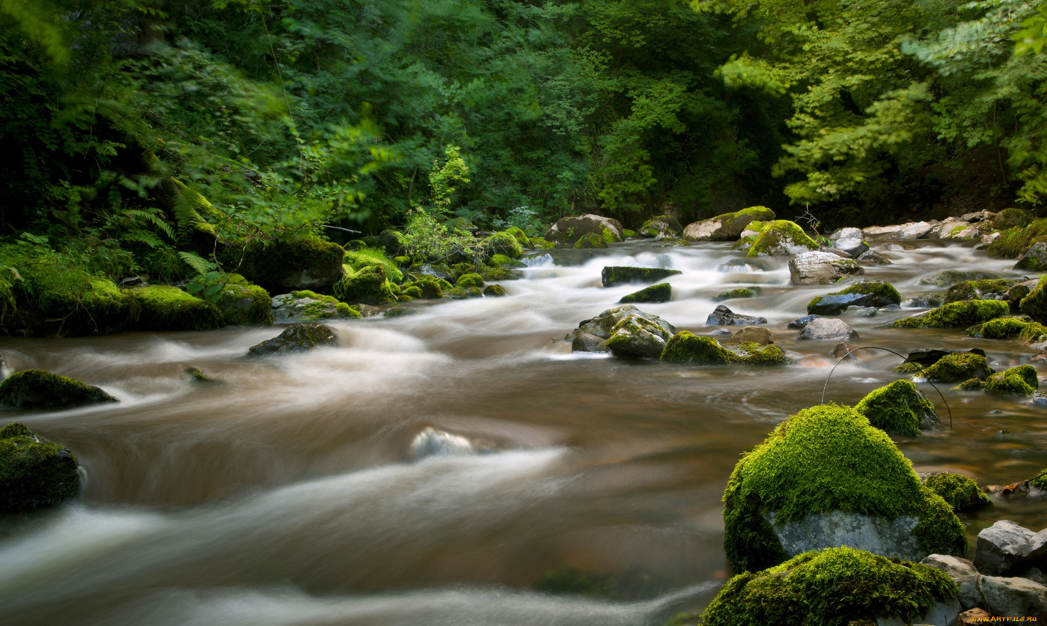 природа, реки, озера, лес, река, камни, мох