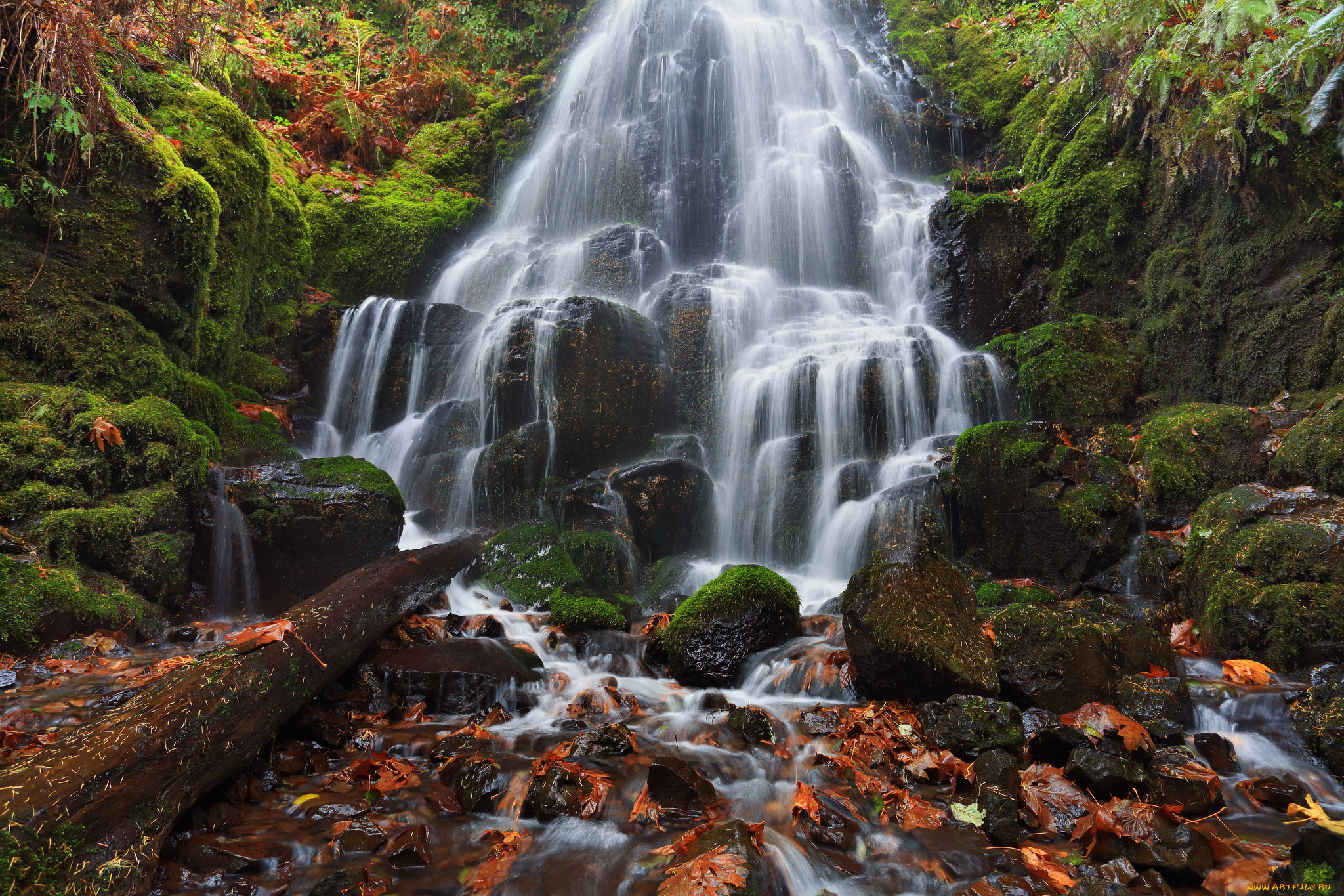 fairy, falls, columbia, river, gorge, oregon, природа, водопады, камни, каскад, орегон, осень, листья, мох, река, колумбия, wahkeena