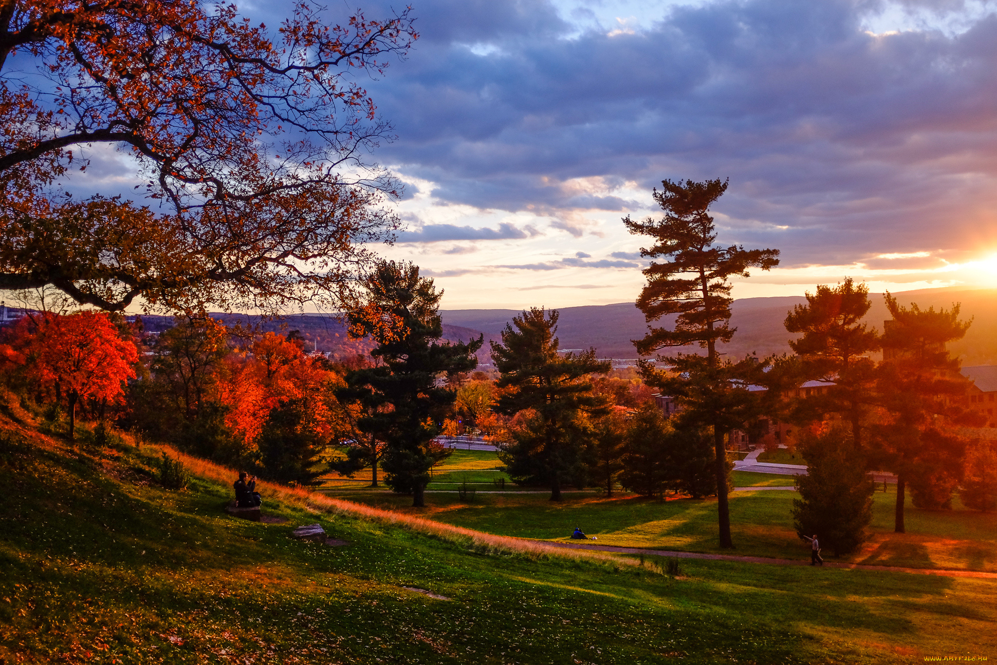 природа, парк, осень, трава, деревья, дорожки, свет, сияние