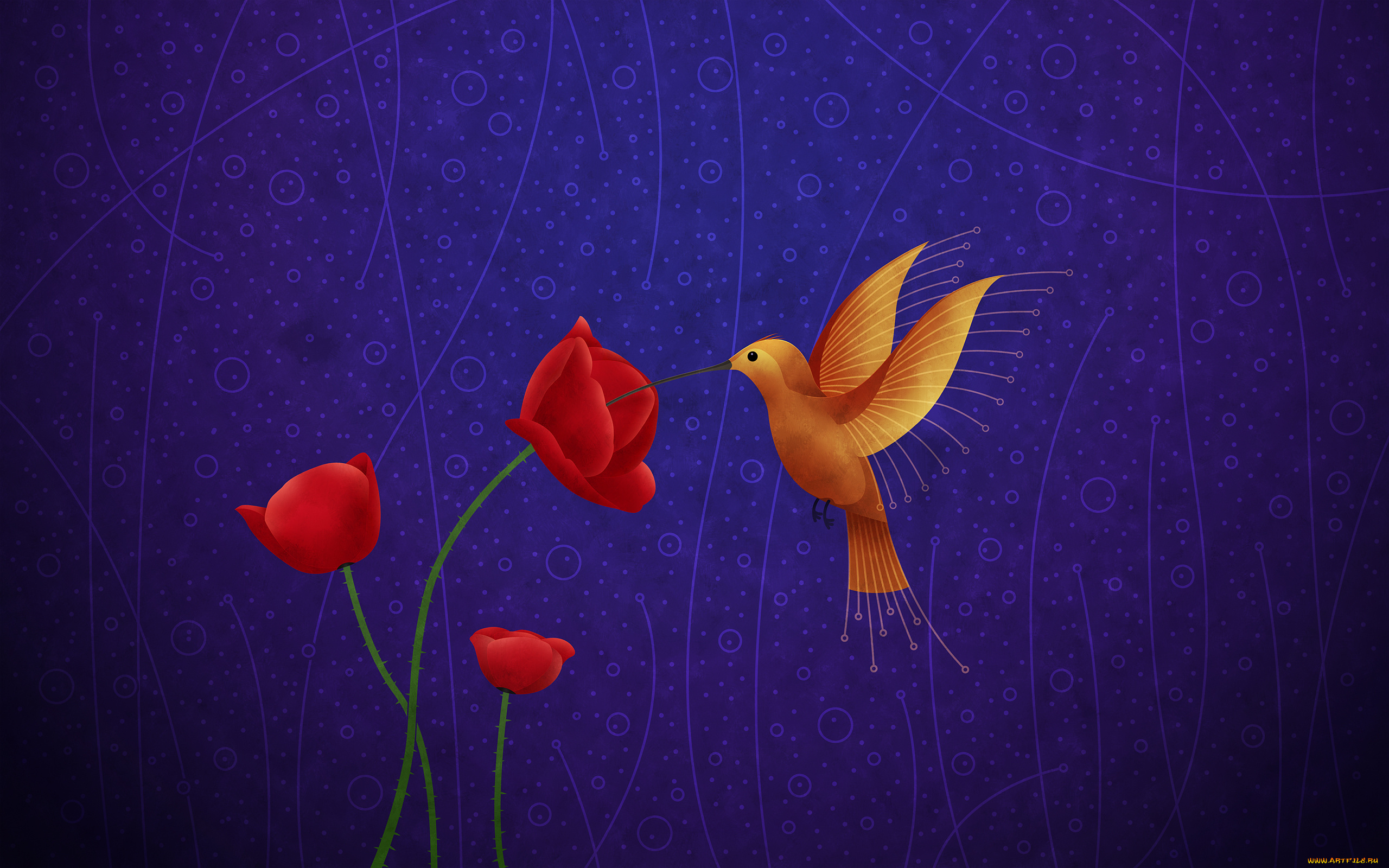 рисованные, vladstudio, красные, маки, колибри, птица