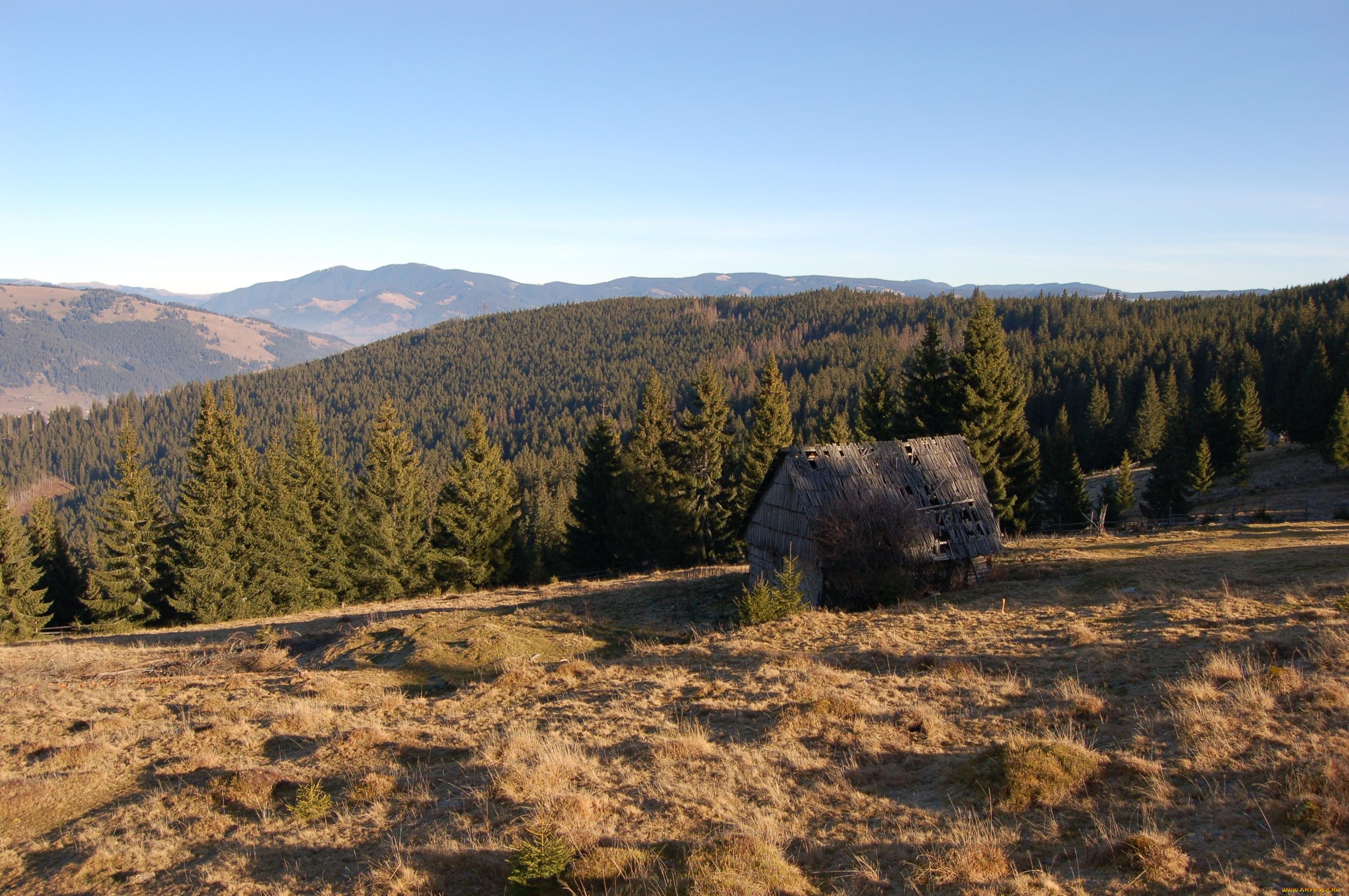 природа, пейзажи, избушка, горы, трава, лес, небо