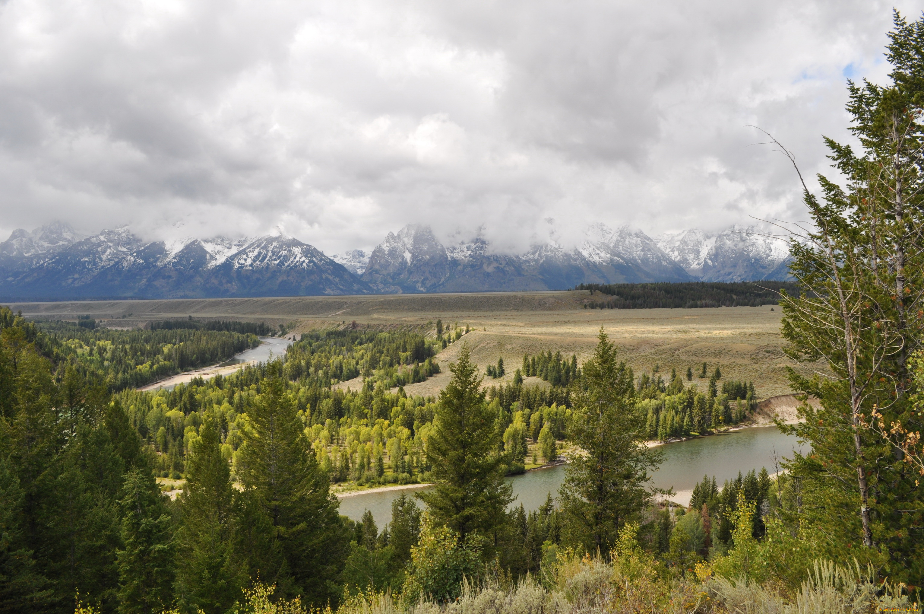 grand, teton, national, park, wyoming, природа, пейзажи, лес, река