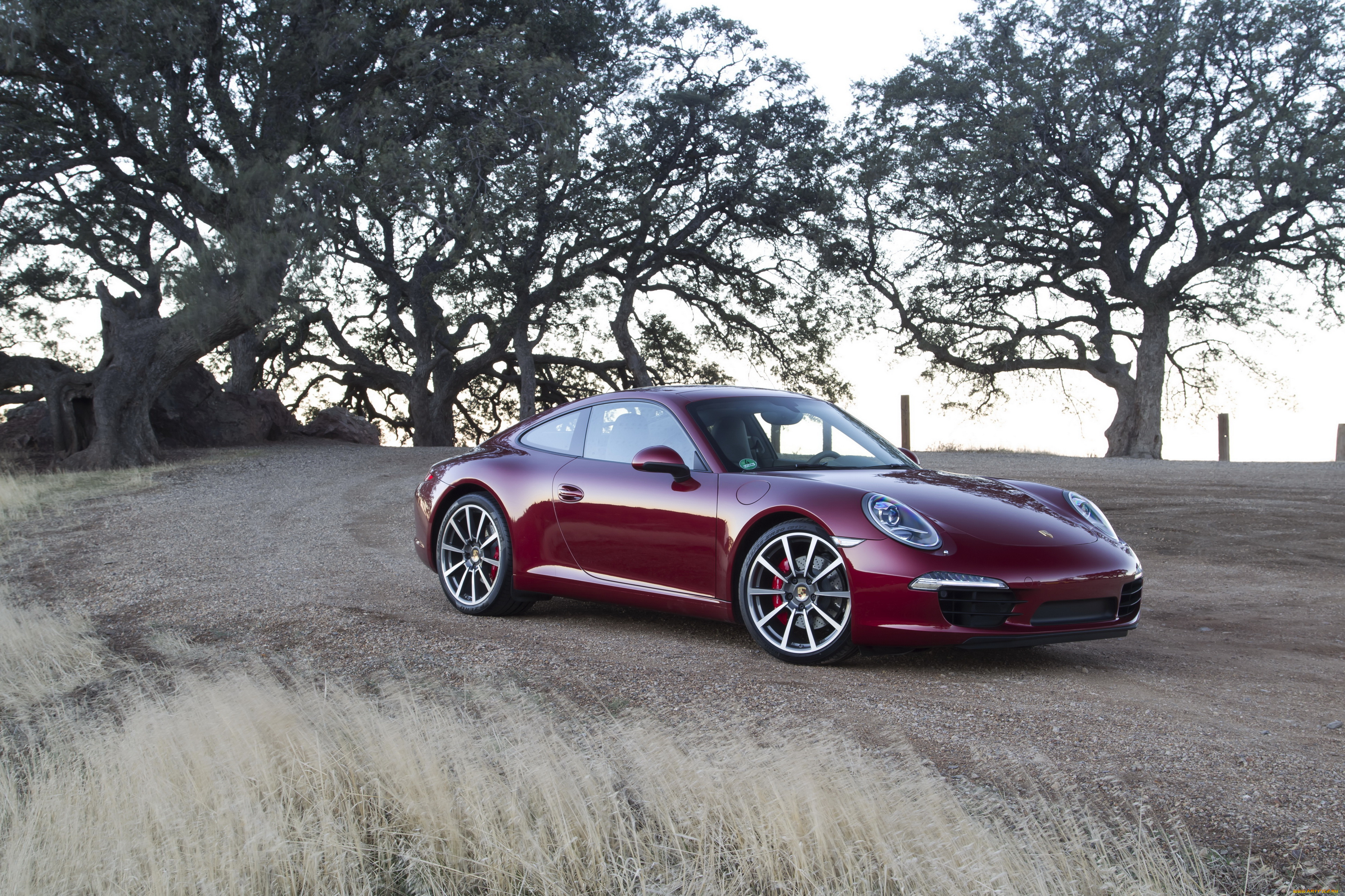 2011, porsche, 911, carrera, автомобили