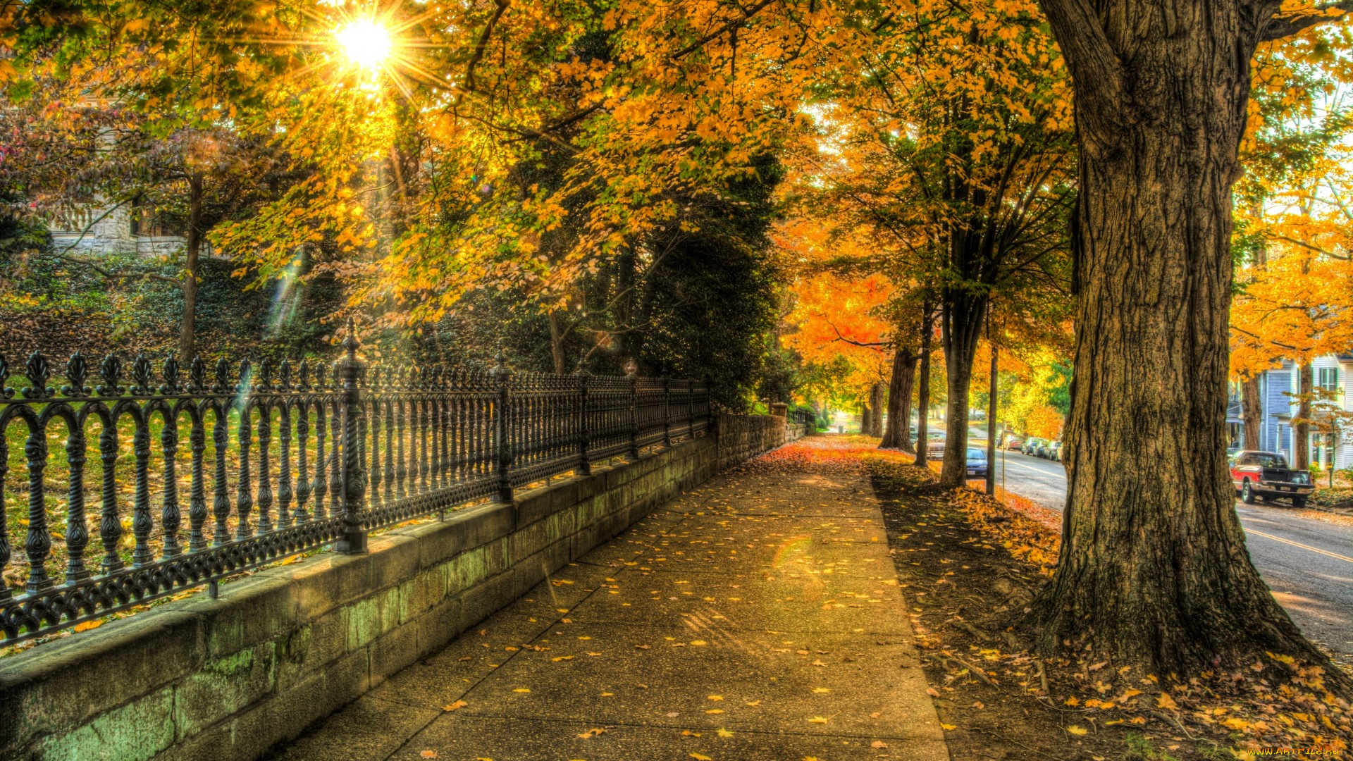 природа, парк, nature, architecture, house, autumn, leaves, trees, street, city, осень, листья, деревья, улица, город, архитектура, дом