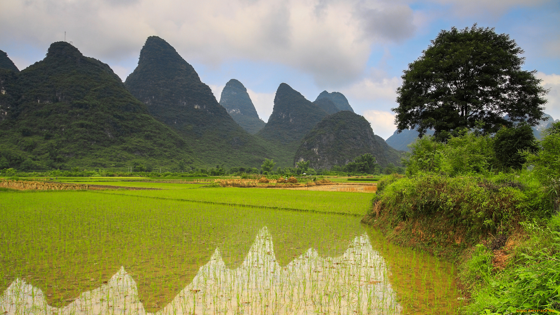 природа, поля, зелень, пейзаж, небо, горы, igor, galarza, озеро, облака, туман, растения, утро