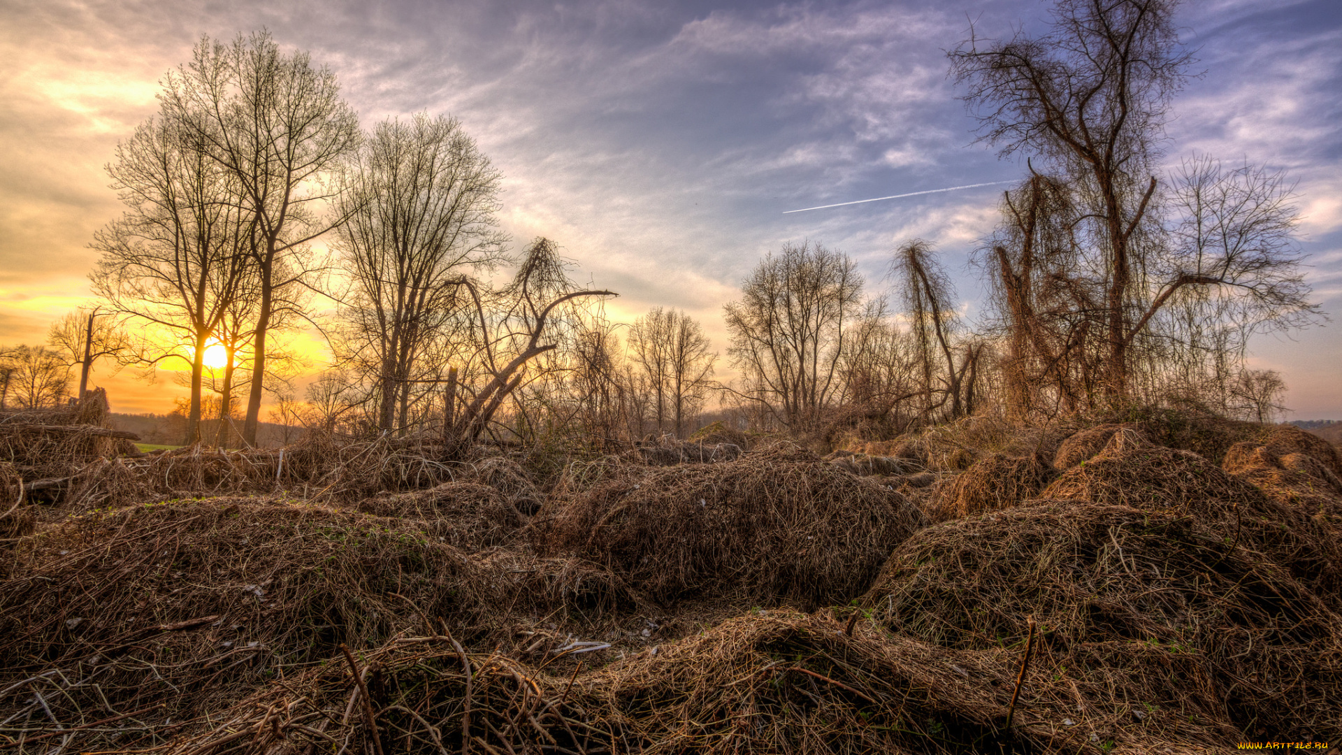 природа, восходы, закаты, солнце, деревья, поле