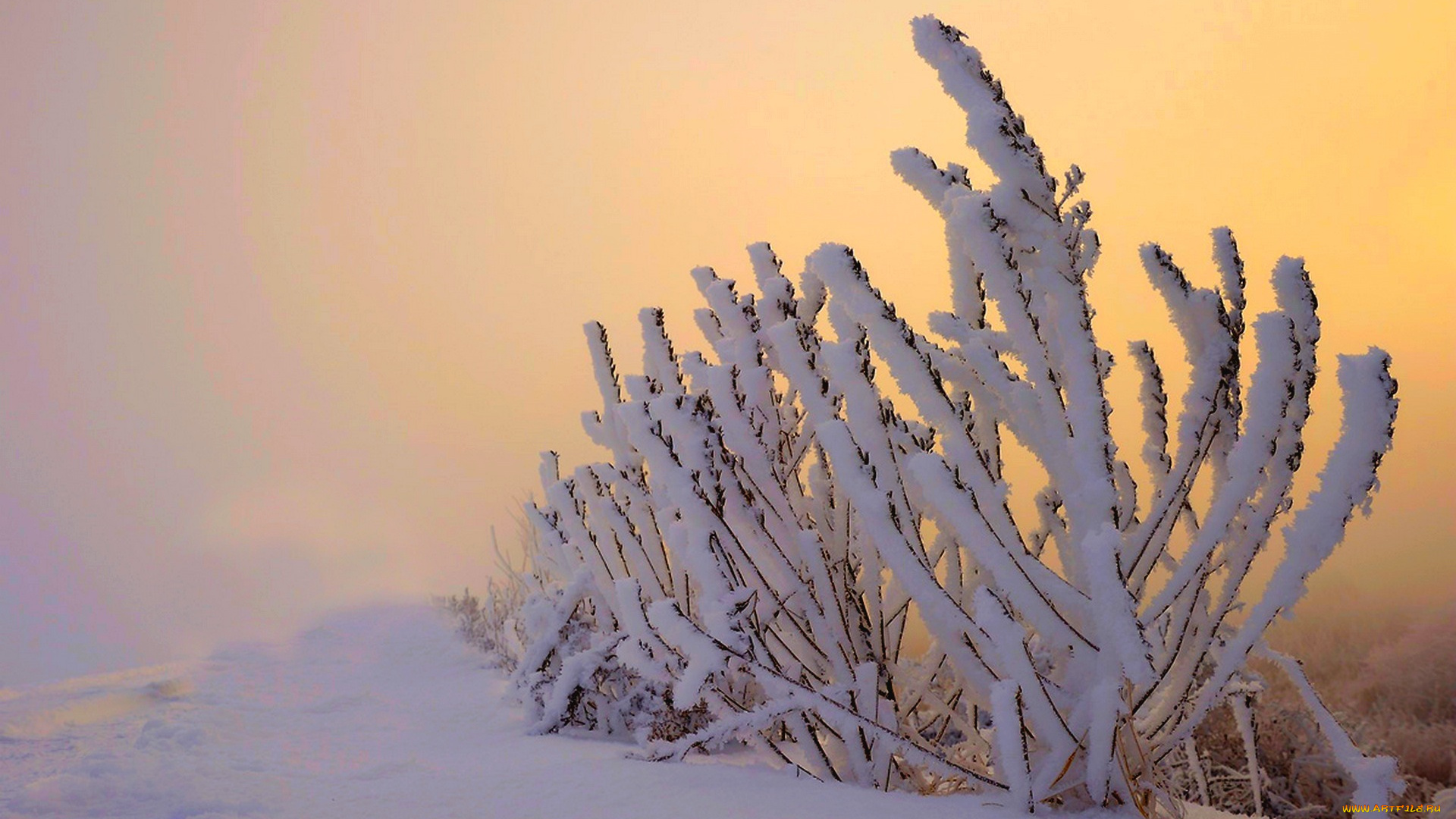 природа, зима, снег, небо, пейзаж, nature, winter, sky, white, beautiful, cool, nice, snow, sunset