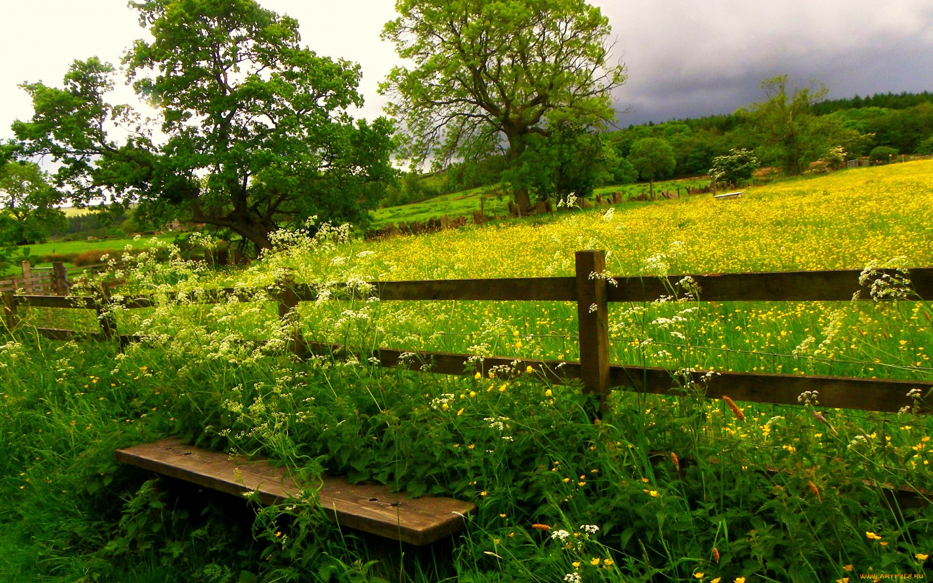 природа, луга, трава, деревья, небо, облака