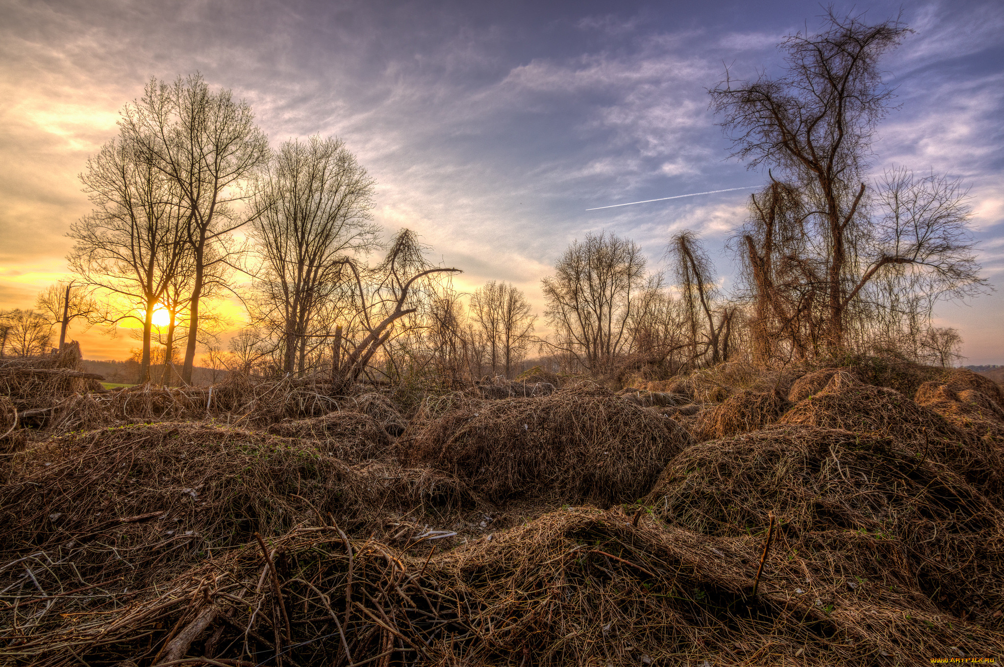 природа, восходы, закаты, солнце, деревья, поле