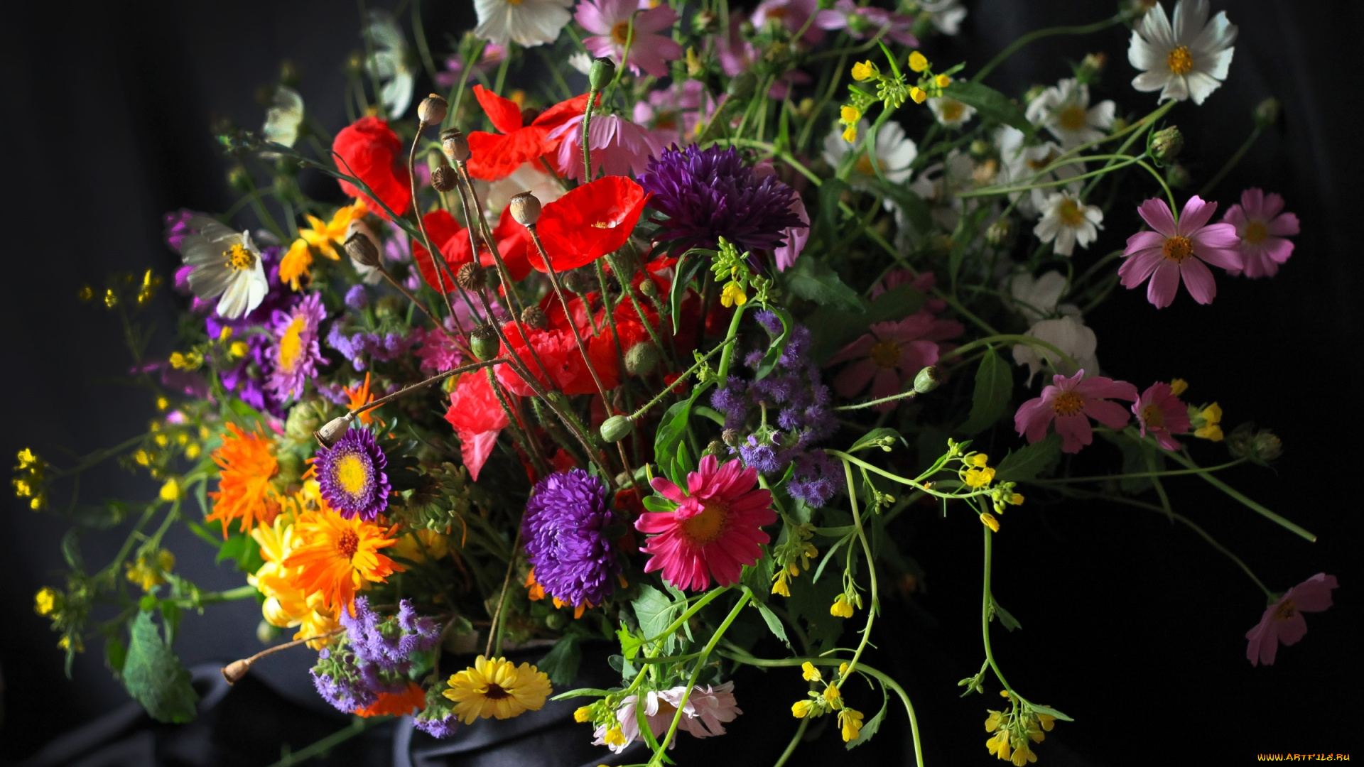 цветы, букеты, , композиции, букет, мак, астры, календула, космея