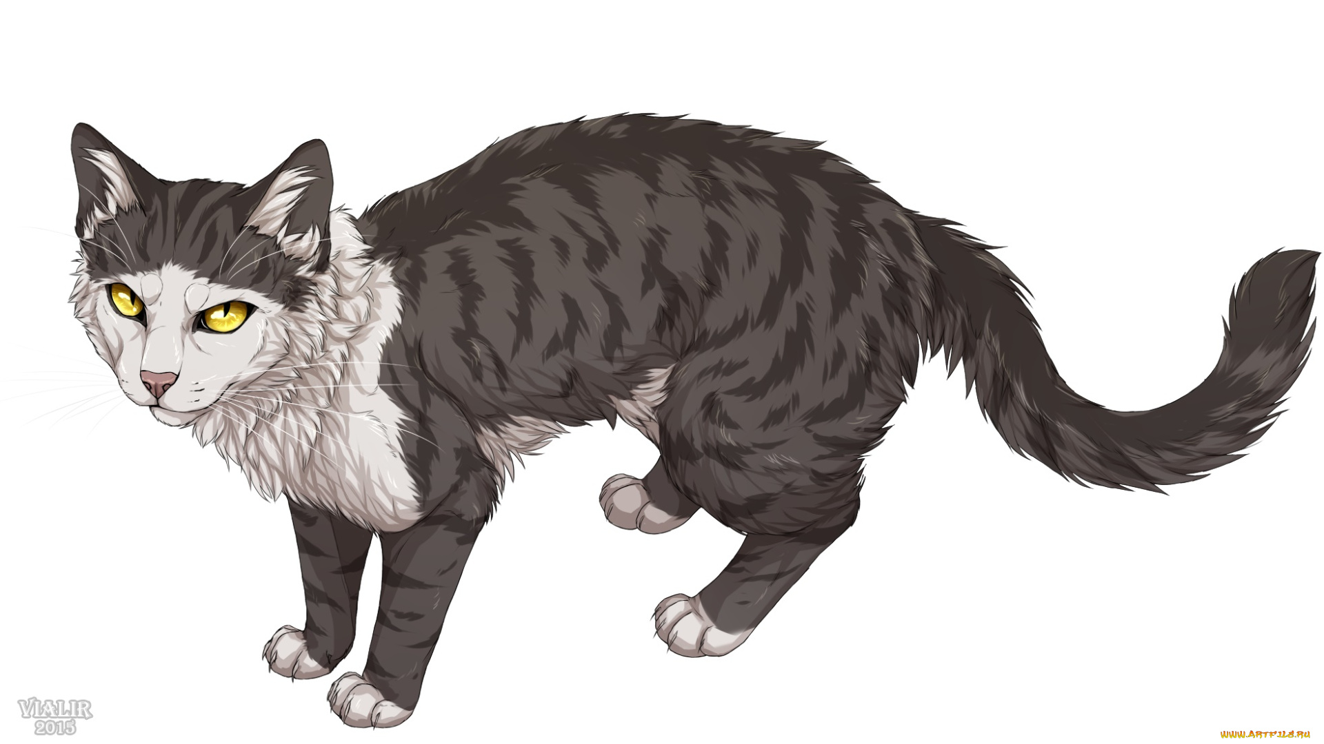 рисованное, животные, , коты, фон, взгляд, кот