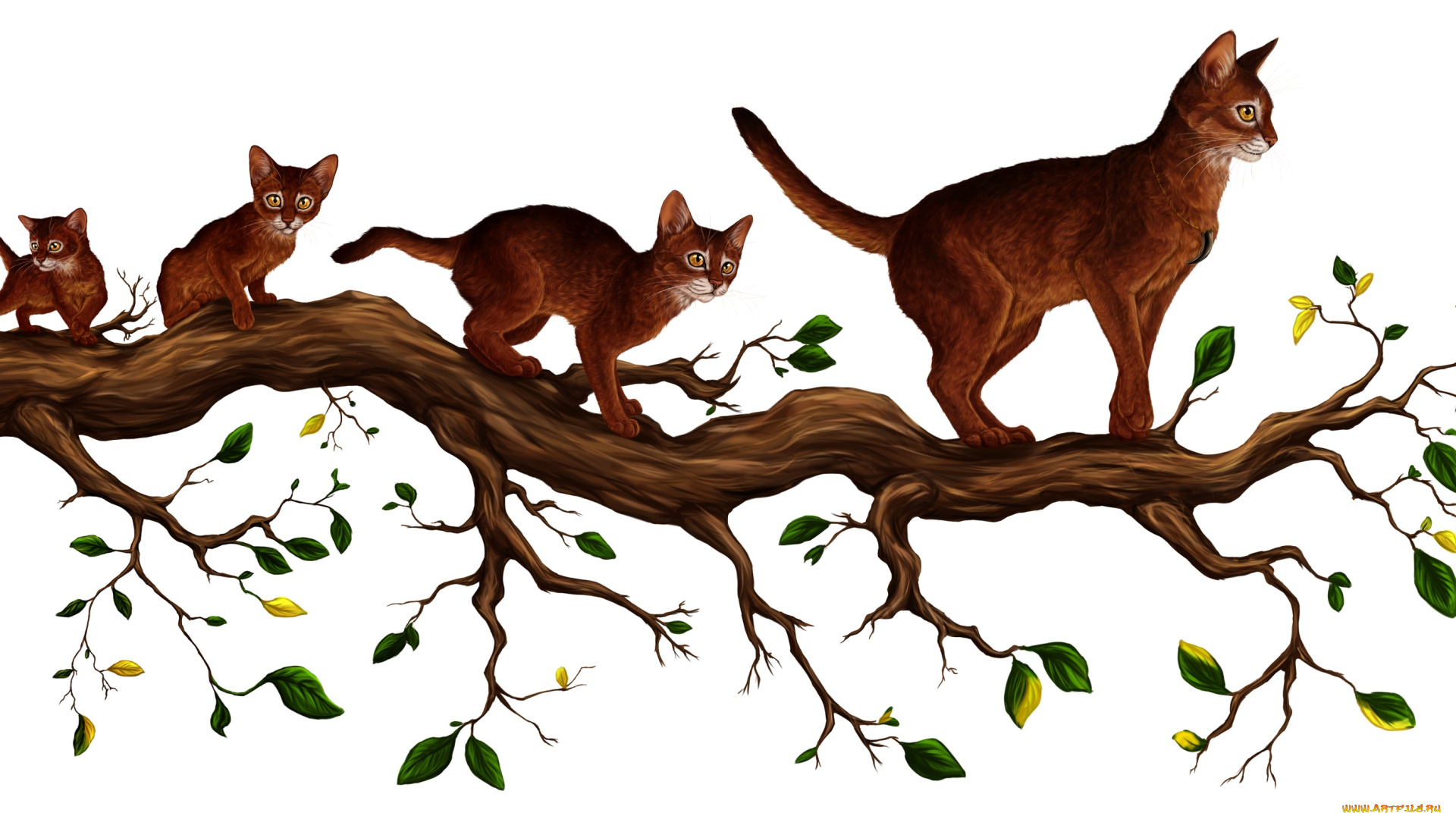 рисованное, животные, , коты, кошки, ветка