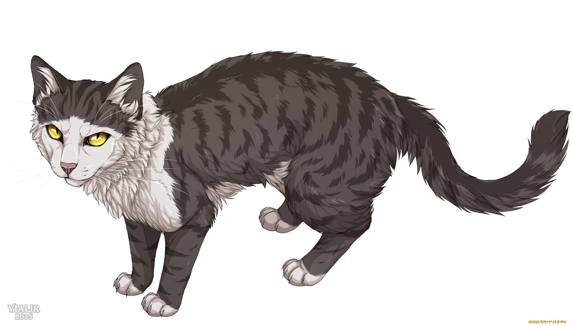 рисованное, животные, , коты, фон, взгляд, кот