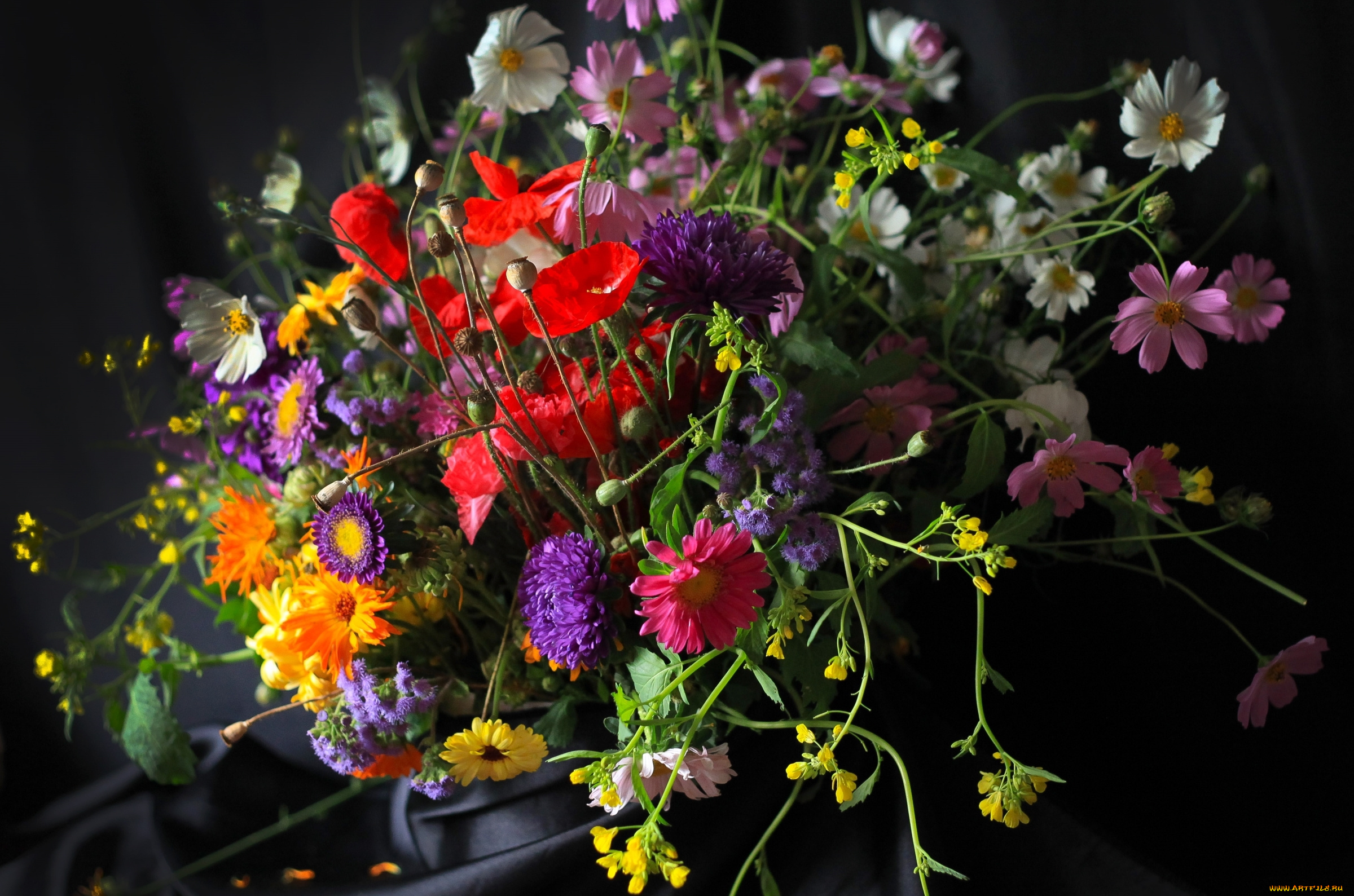 цветы, букеты, , композиции, букет, мак, астры, календула, космея