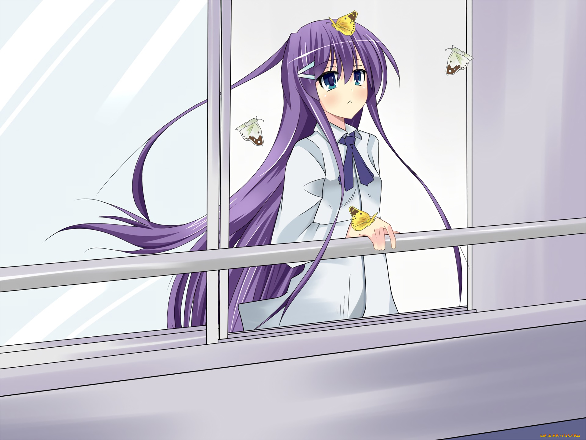 аниме, hanbun, no, tsuki, ga, noboru, sora, девушка, фон, взгляд