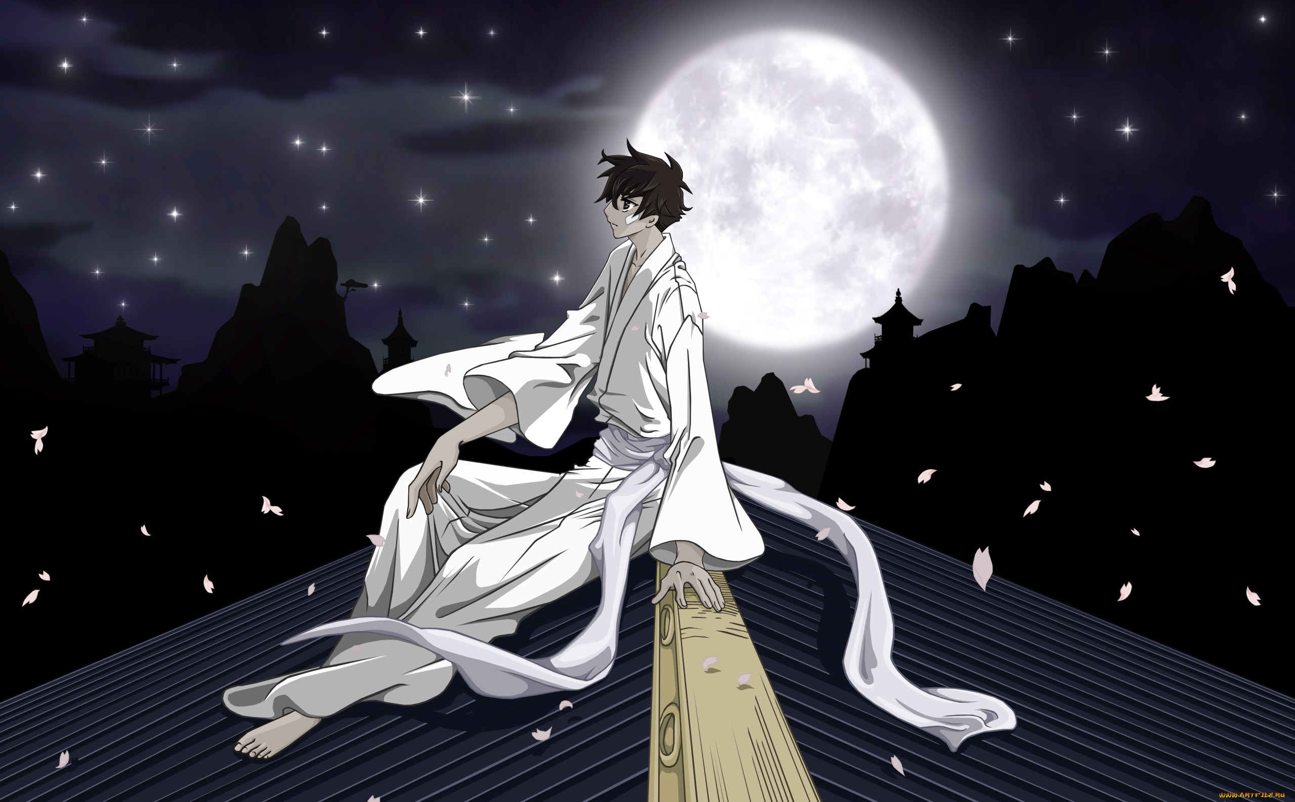 аниме, tsubasa, reservoir, chronicles, фон, взгляд, парень