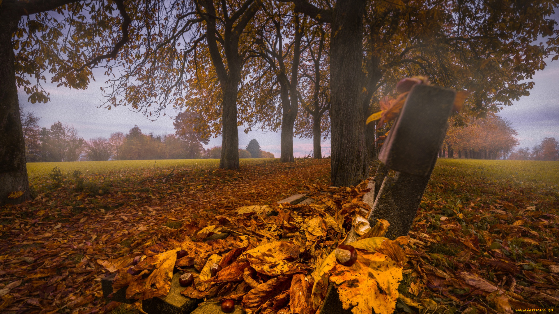 природа, другое, парк, австрия, скамейка, каштаны, деревья, листья, листва, austria, аллея, каштановая, bad, wimsbach-neydharting, бад-вимсбах-найдхартинг, осень