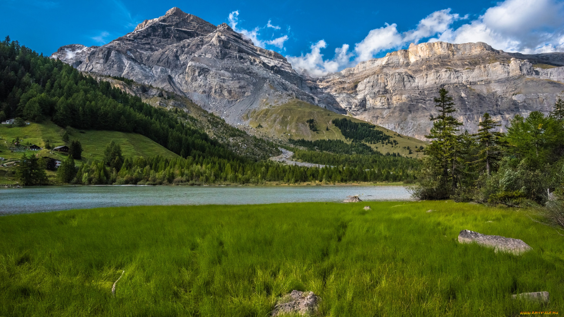 природа, горы, switzerland, valais, швейцария, lac, de, derborence, lake, трава, бернские, альпы, озеро, дерборанс, валлис, bernese, alps, лес