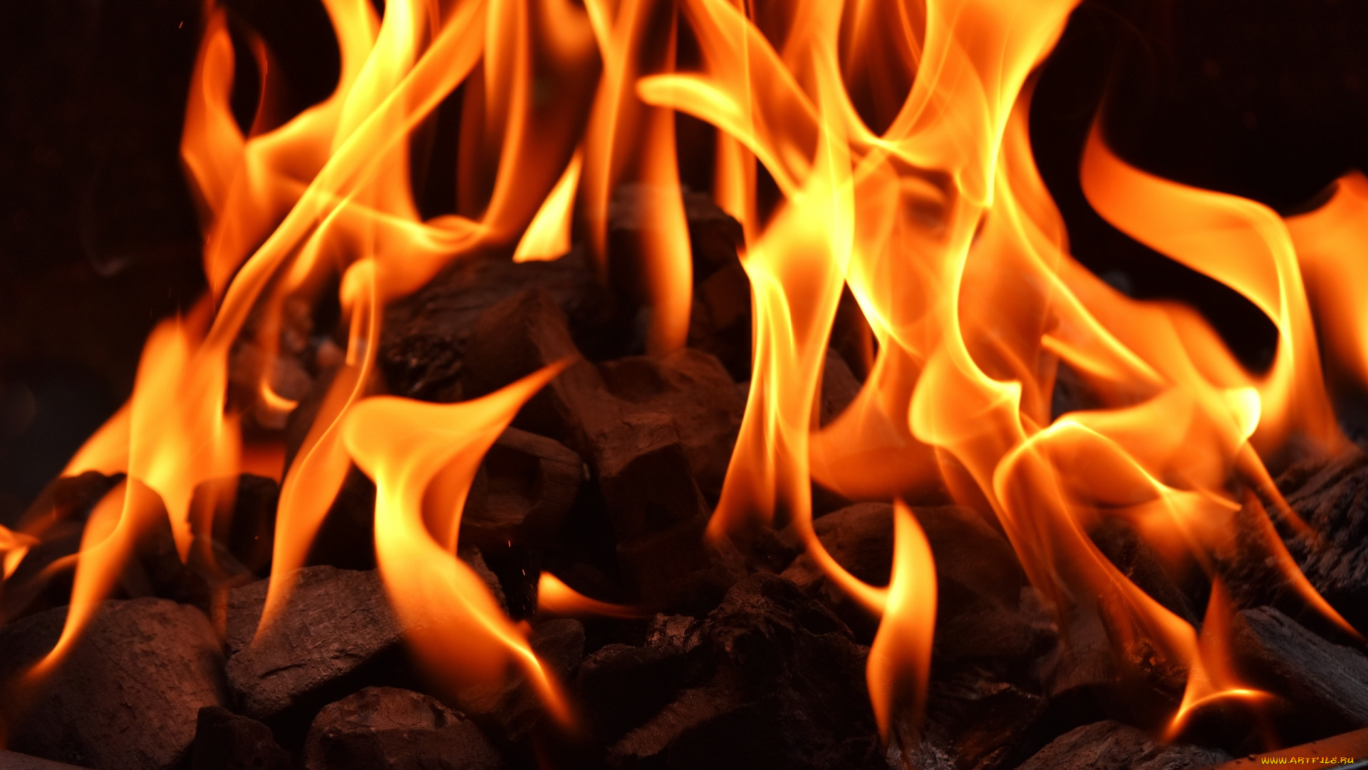 природа, огонь, пламя