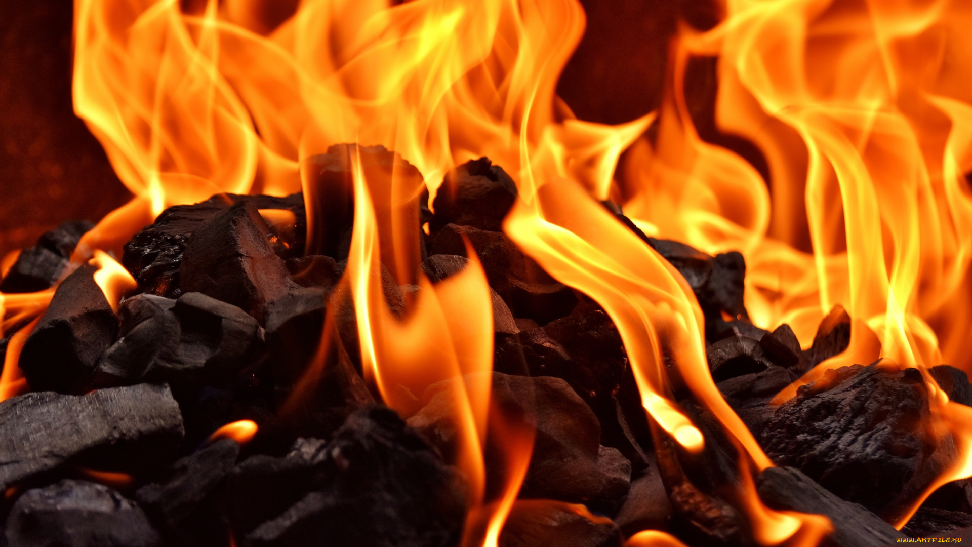 природа, огонь, пламя