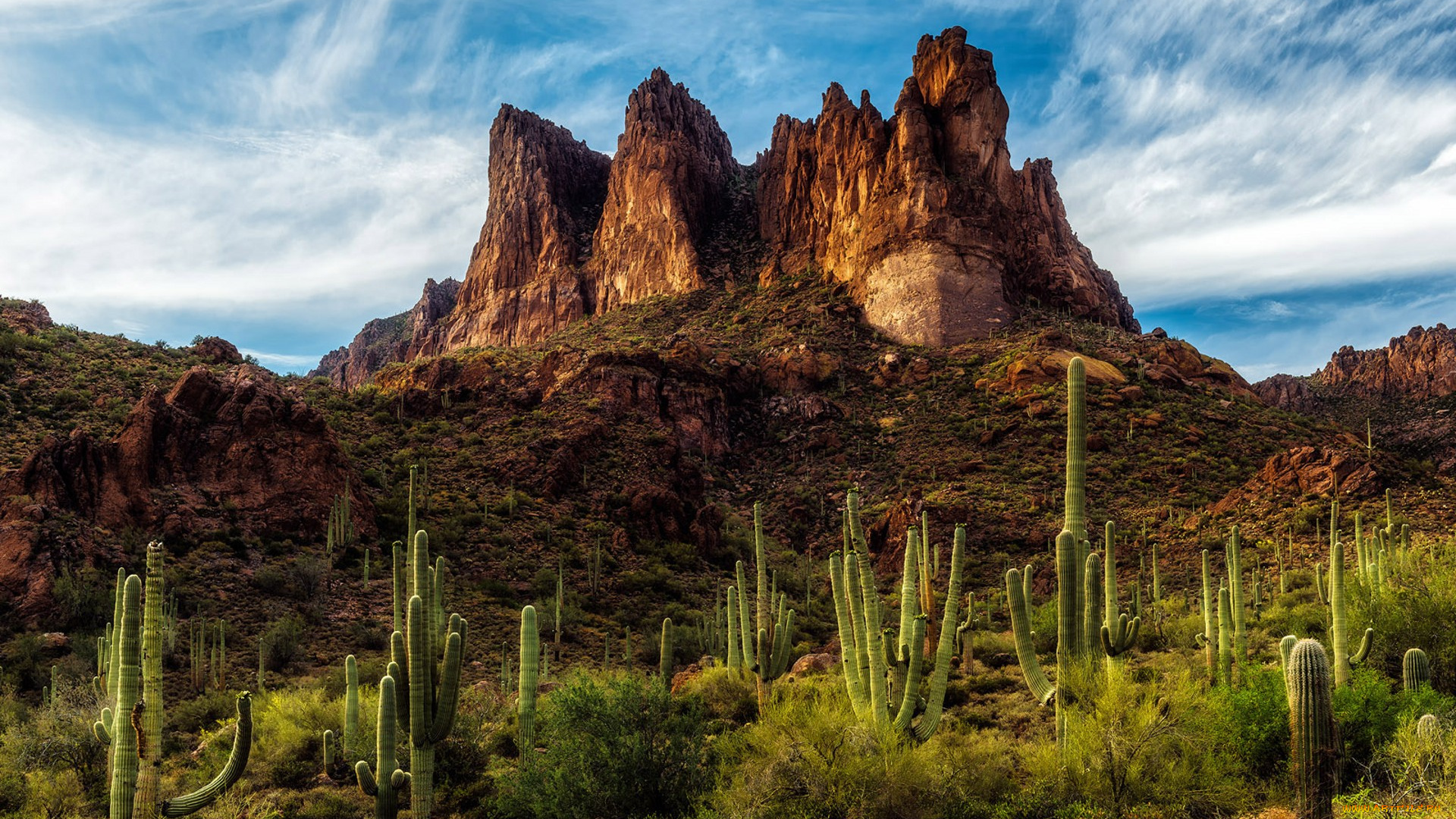 природа, пустыни, простор