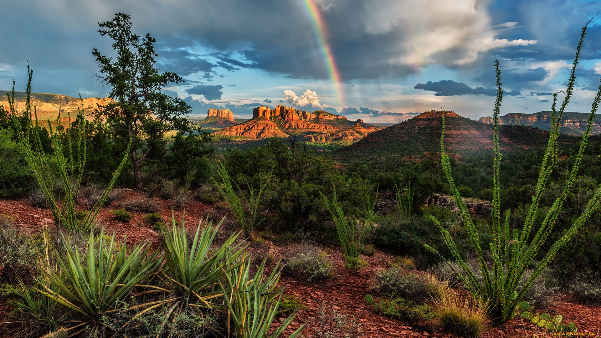 природа, пустыни, простор