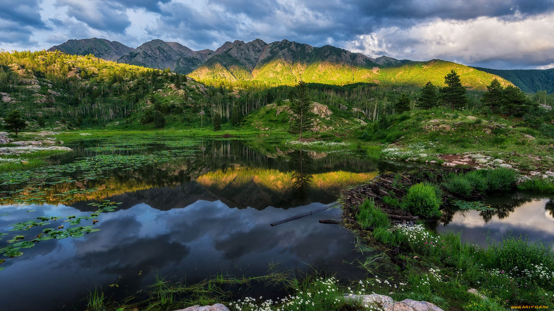 природа, реки, озера, простор