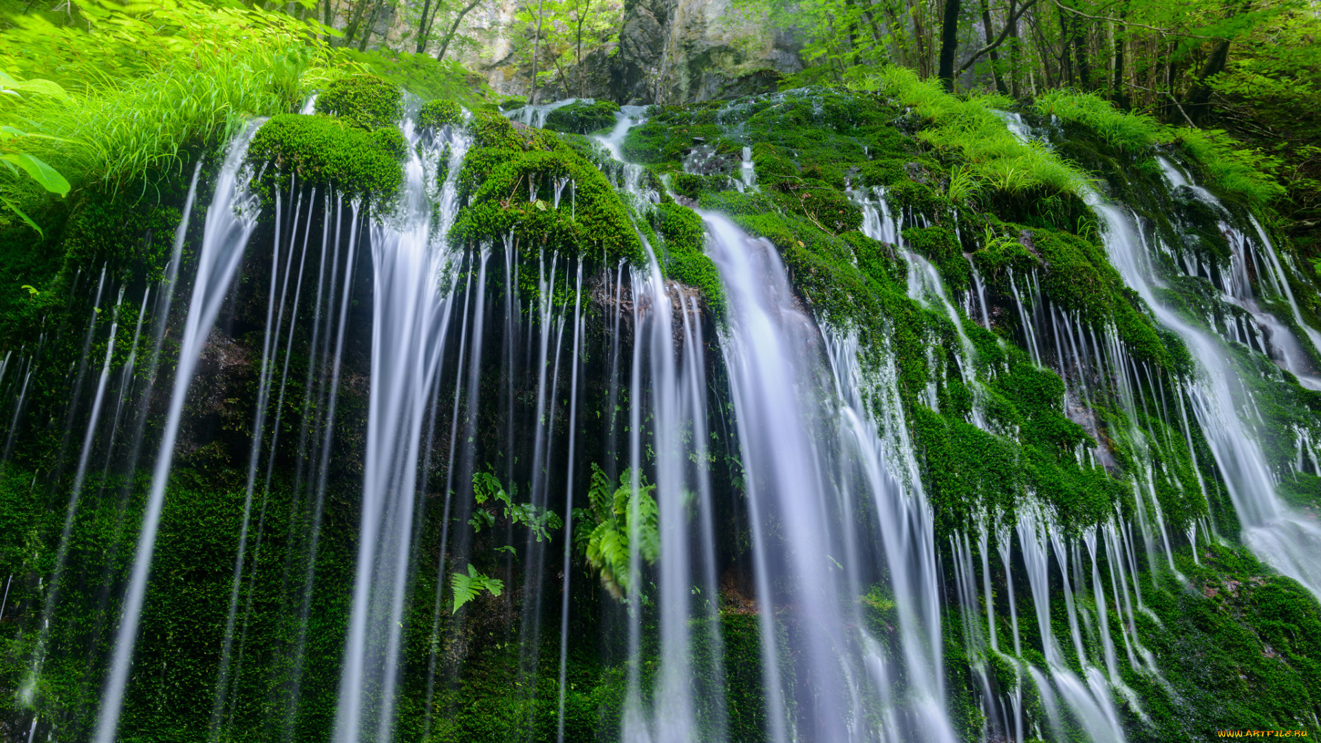 природа, водопады, водопад, вода, камни, мох, растительность